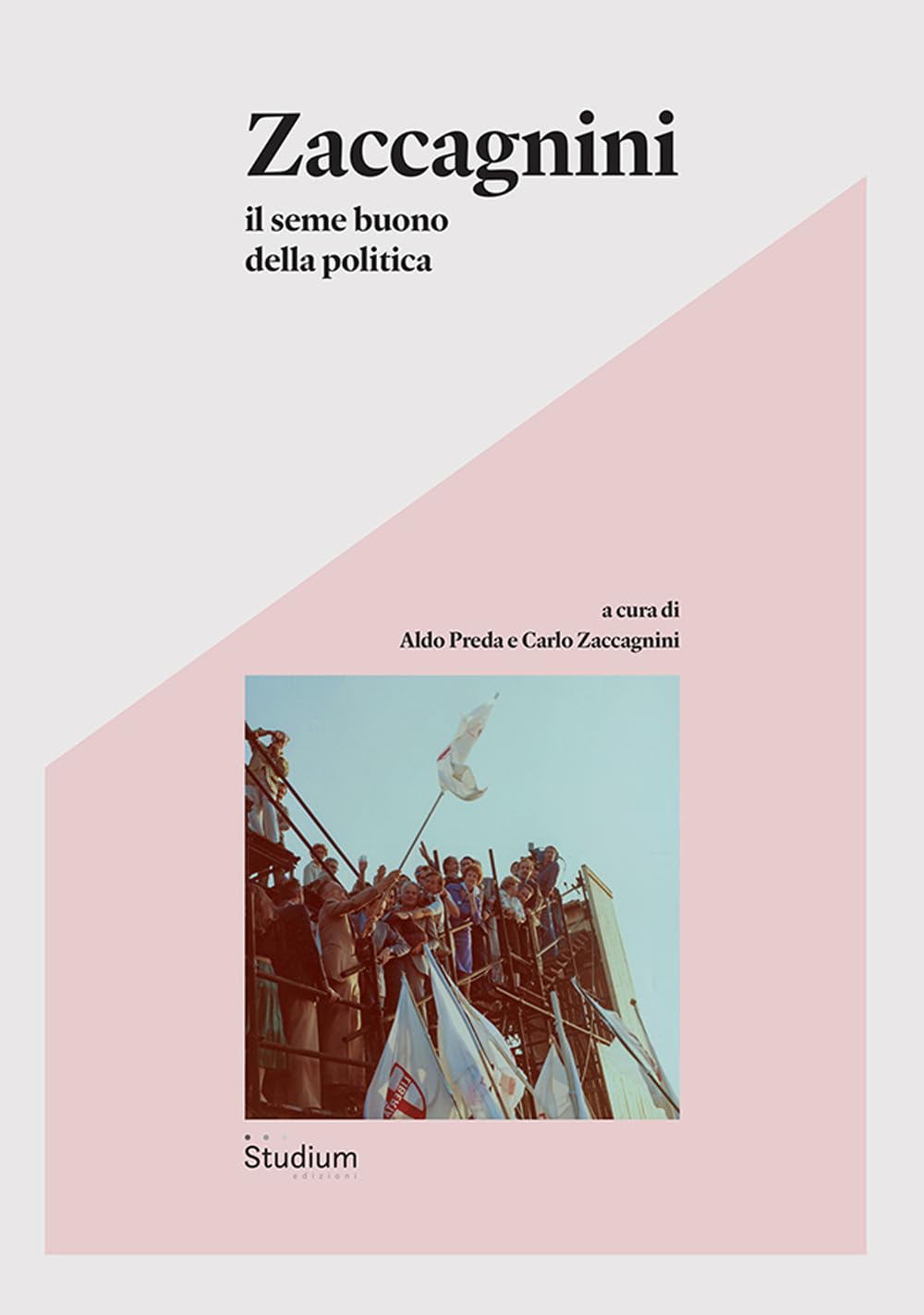 Zaccagnini. Il seme buono della politica (Fuori collana) Social Sciences