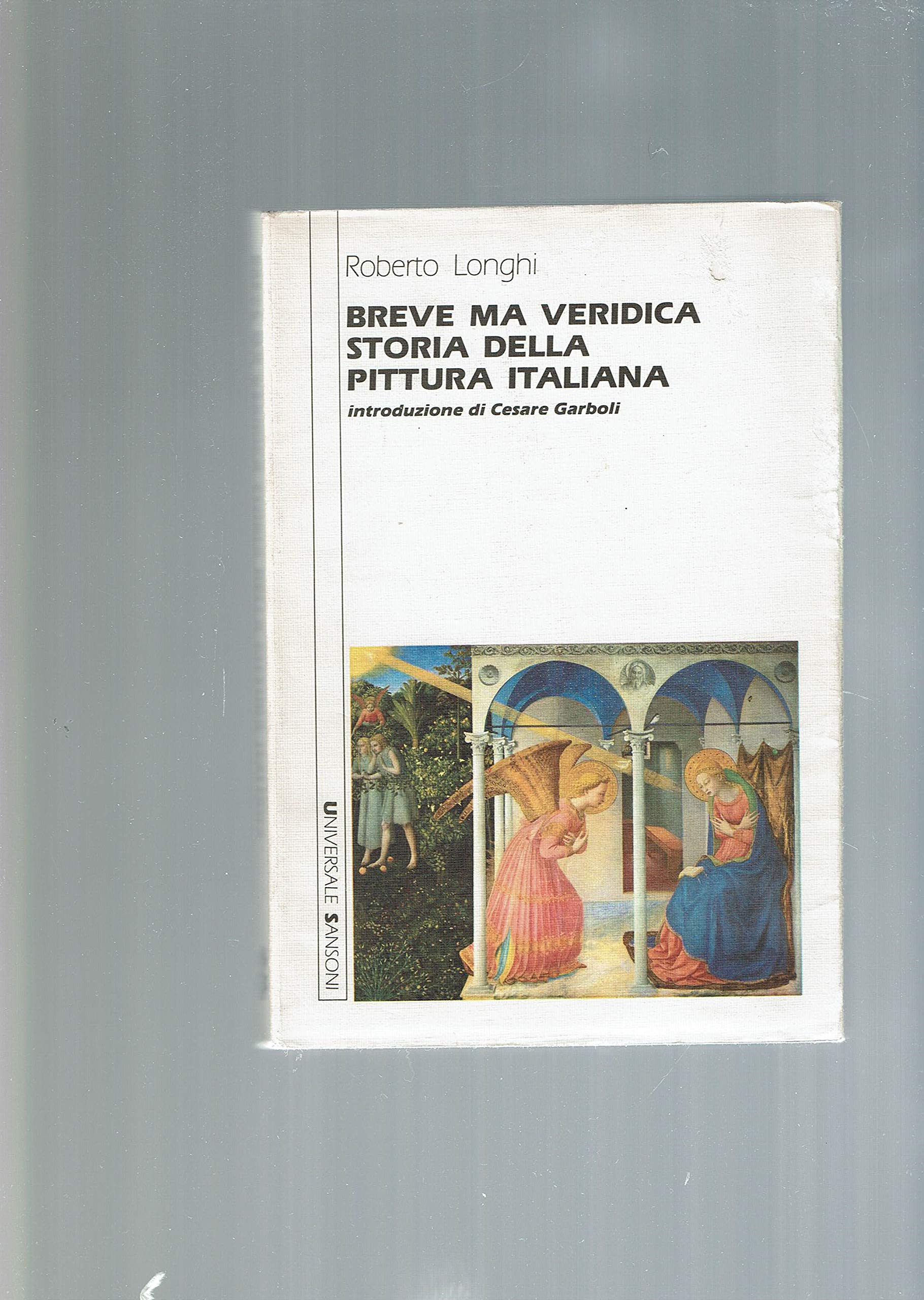 Breve ma veridica storia della pittura italiana Professional & Reference Books