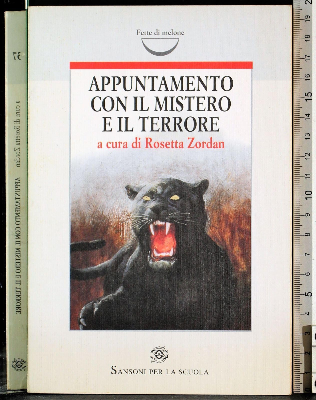 Appuntamento con il mistero e il terrore (Fette di melone) Professional & Reference Books