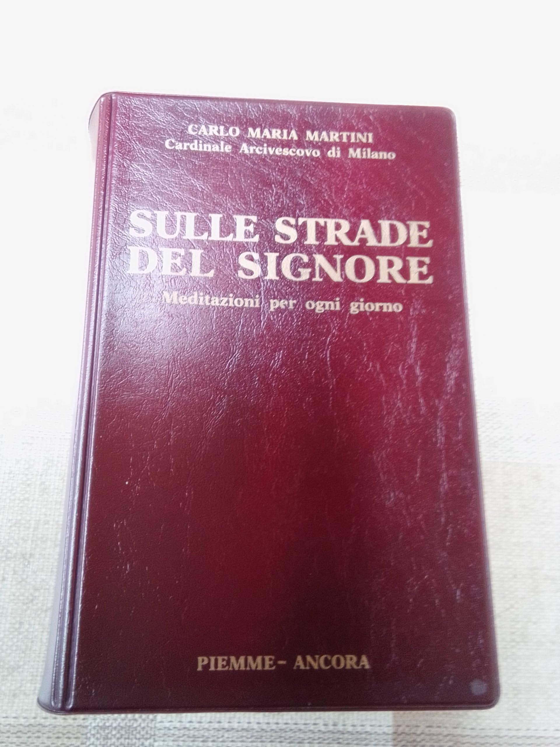 Sulle strade del Signore. Meditazioni per ogni giorno Religion & Esotericism