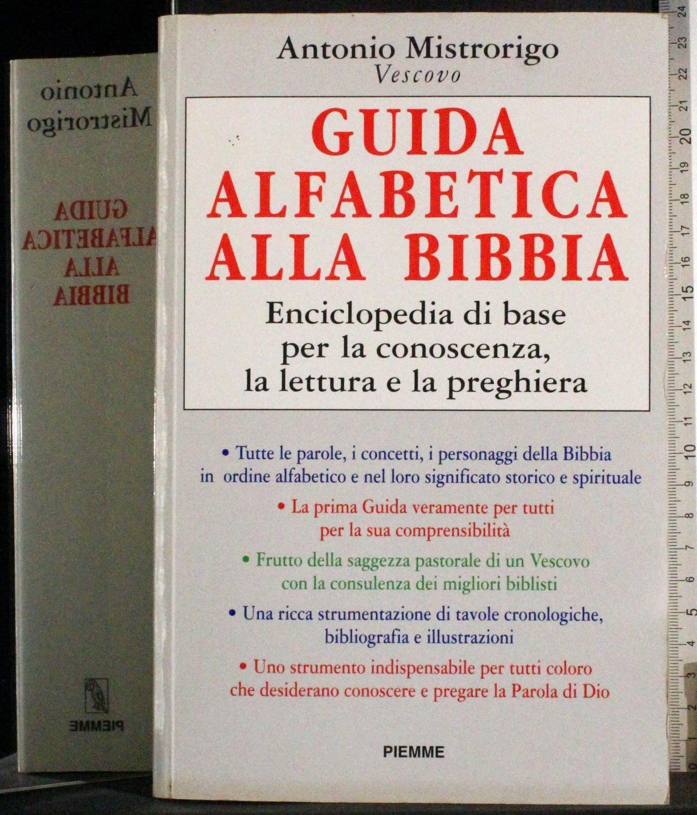 Guida alfabetica alla Bibbia. Enciclopedia di base per la conoscenza, la lettura e la preghiera book