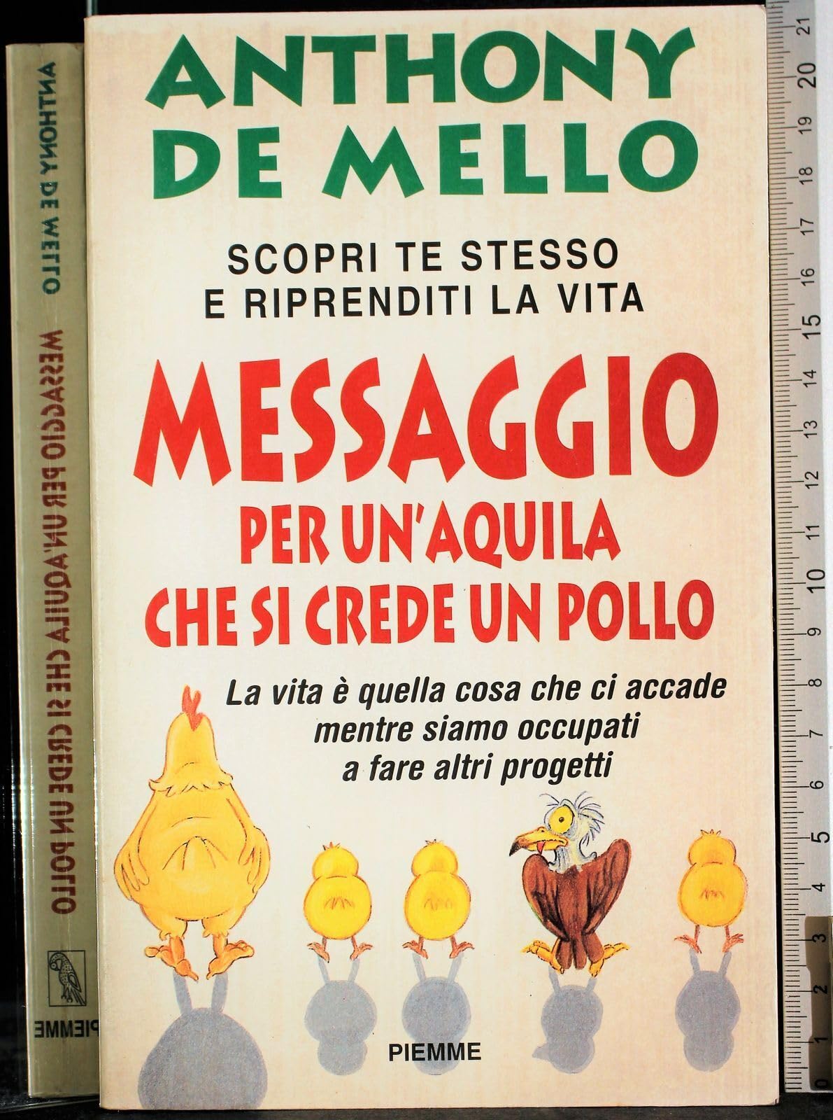 Messaggio per un'aquila che si crede un pollo (Collana De Mello) Religion & Esotericism