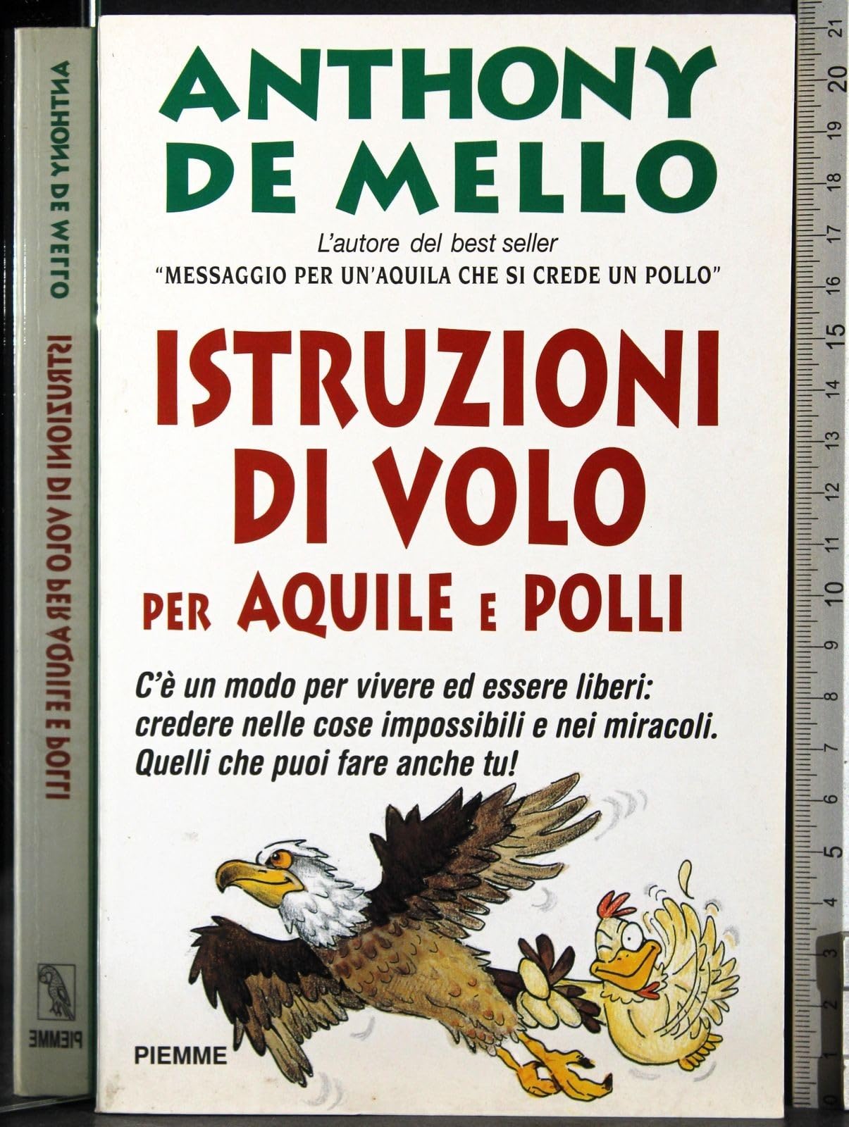 Istruzioni di volo per aquile e polli (Collana De Mello) Religion & Esotericism