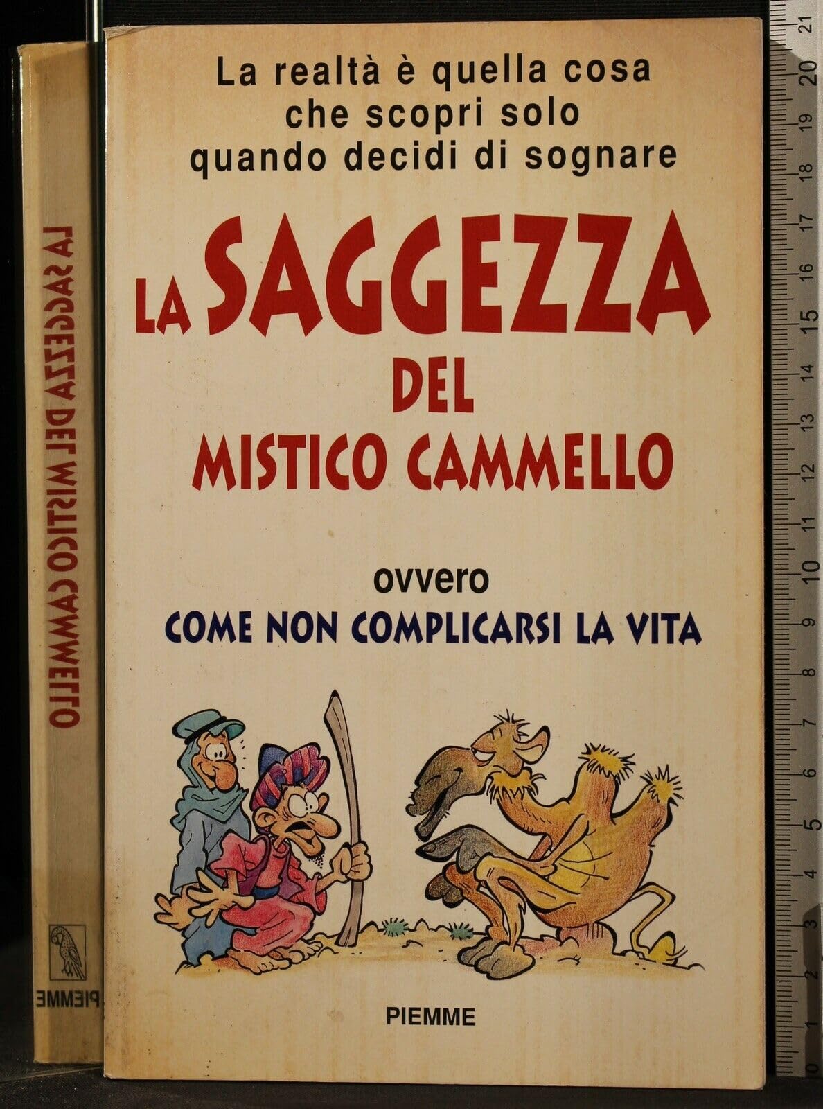 La saggezza del mistico cammello. Ovvero come non complicarsi la vita (Collana De Mello) Contemporary literature