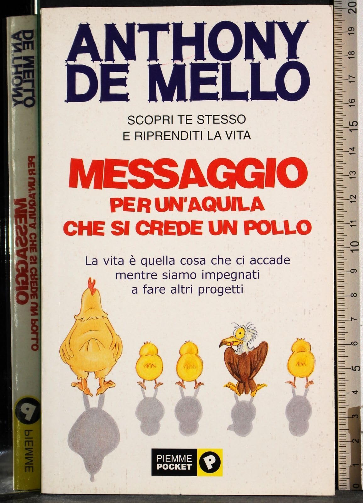 Messaggio per un'aquila che si crede un pollo (Piemme pocket) Religion & Esotericism