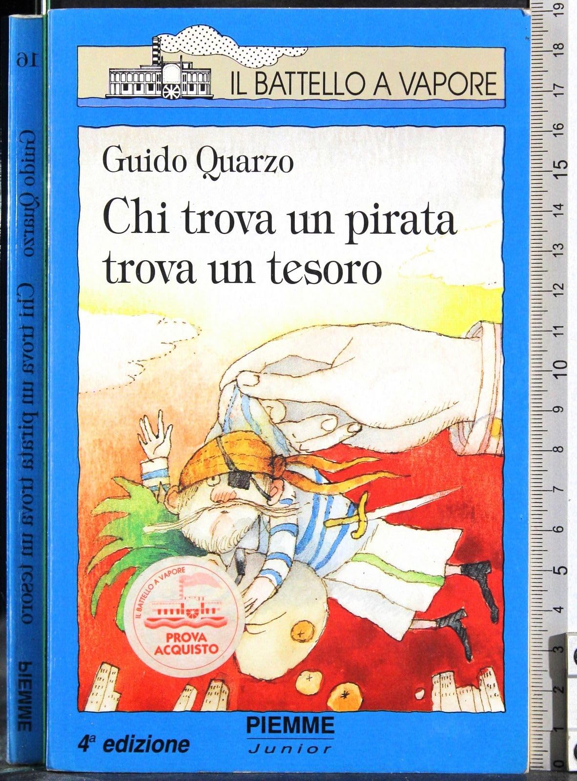 Chi trova un pirata trova un tesoro book
