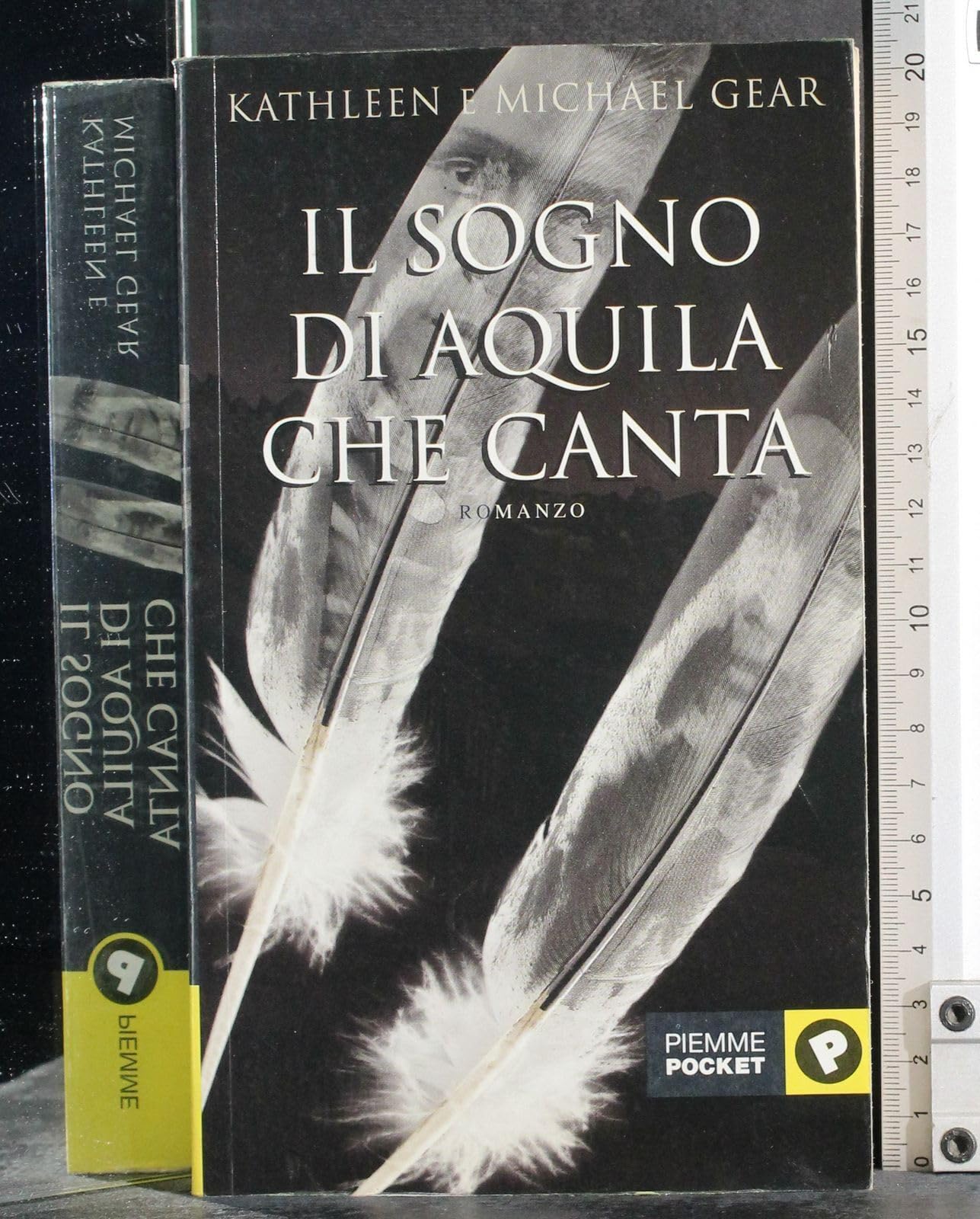 Il sogno di Aquila che canta book