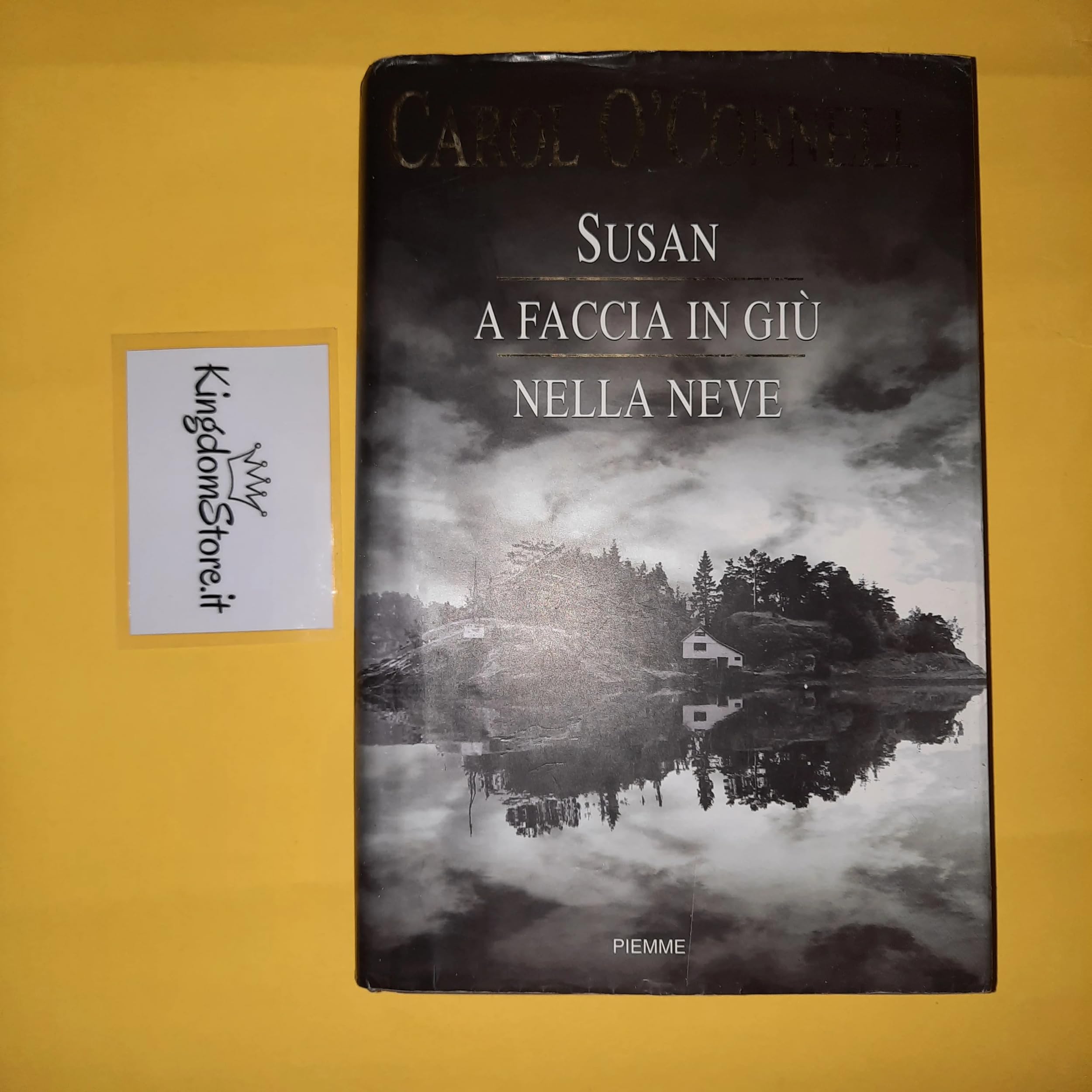 Susan a faccia in giù nella neve book