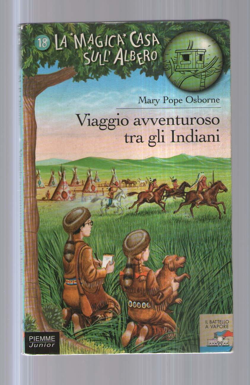 Viaggio avventuroso tra gli indiani book