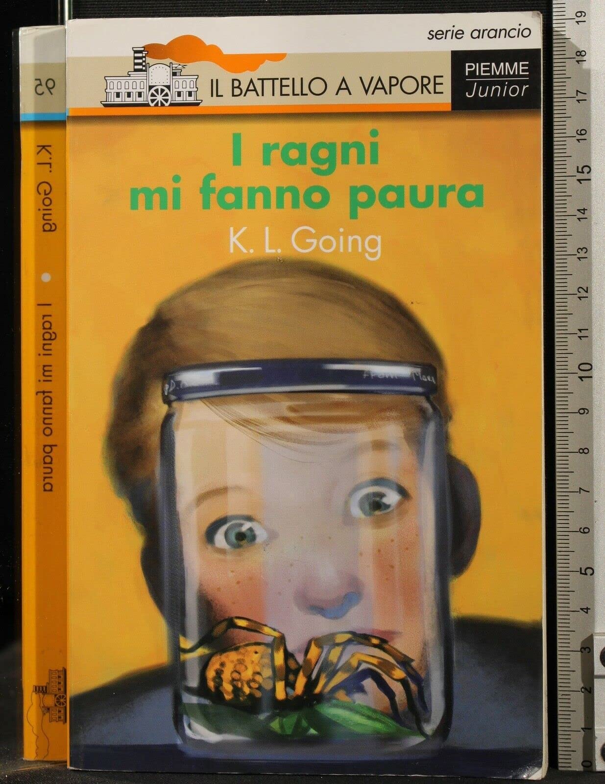 I ragni mi fanno paura book