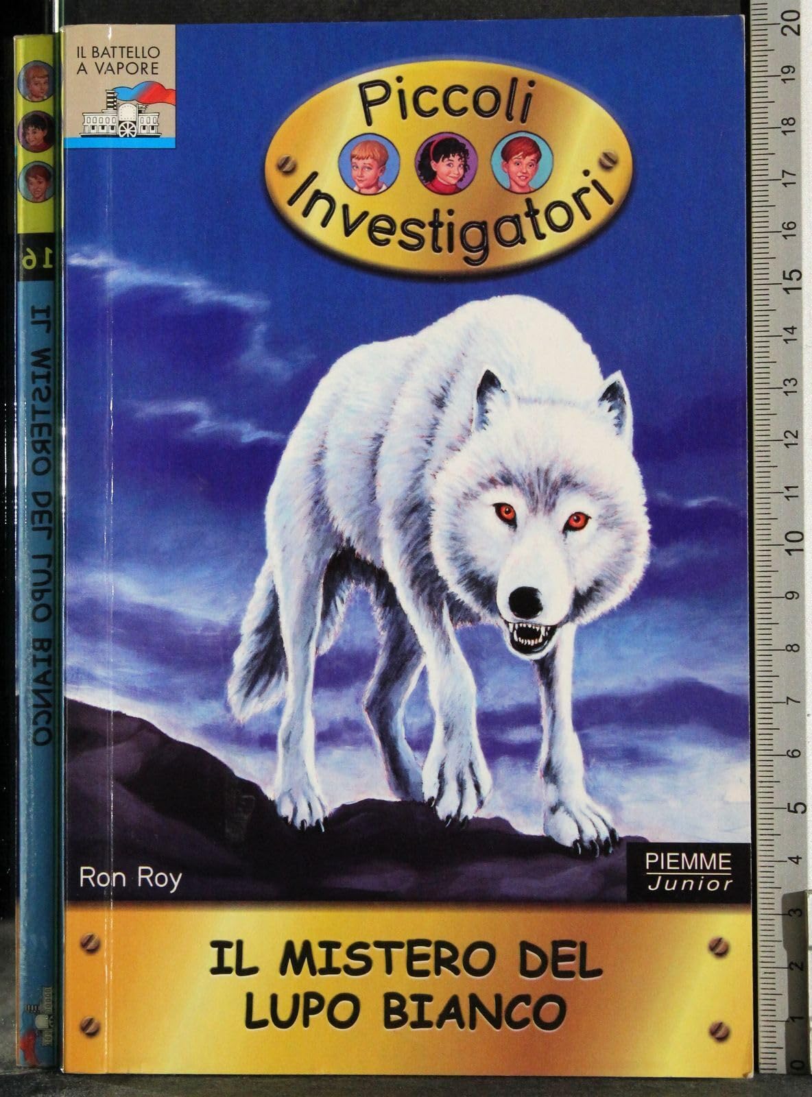 Il mistero del lupo bianco. Piccoli investigatori book