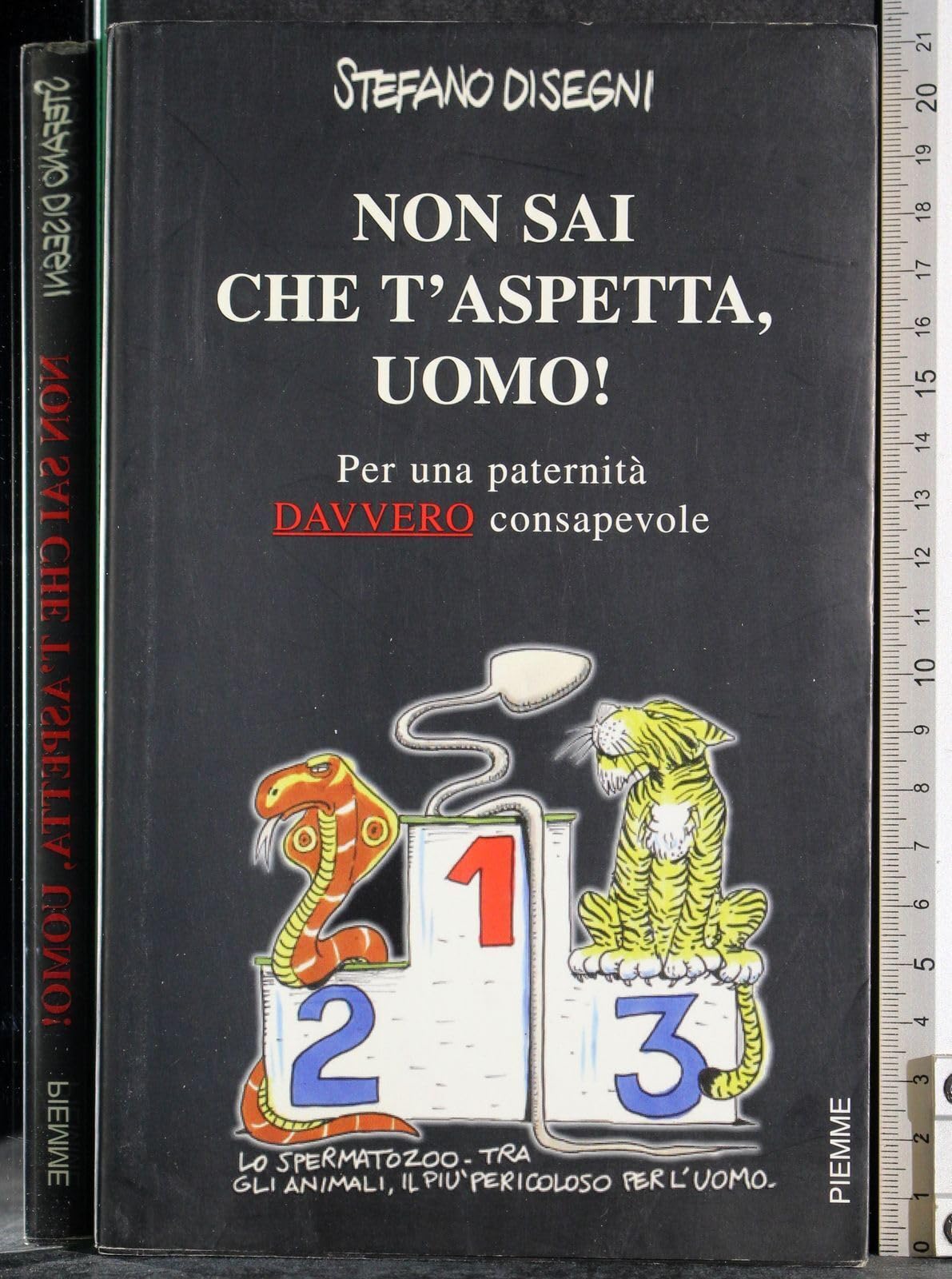 Non sai che t'aspetta, uomo! Per una paternità davvero consapevole Contemporary literature