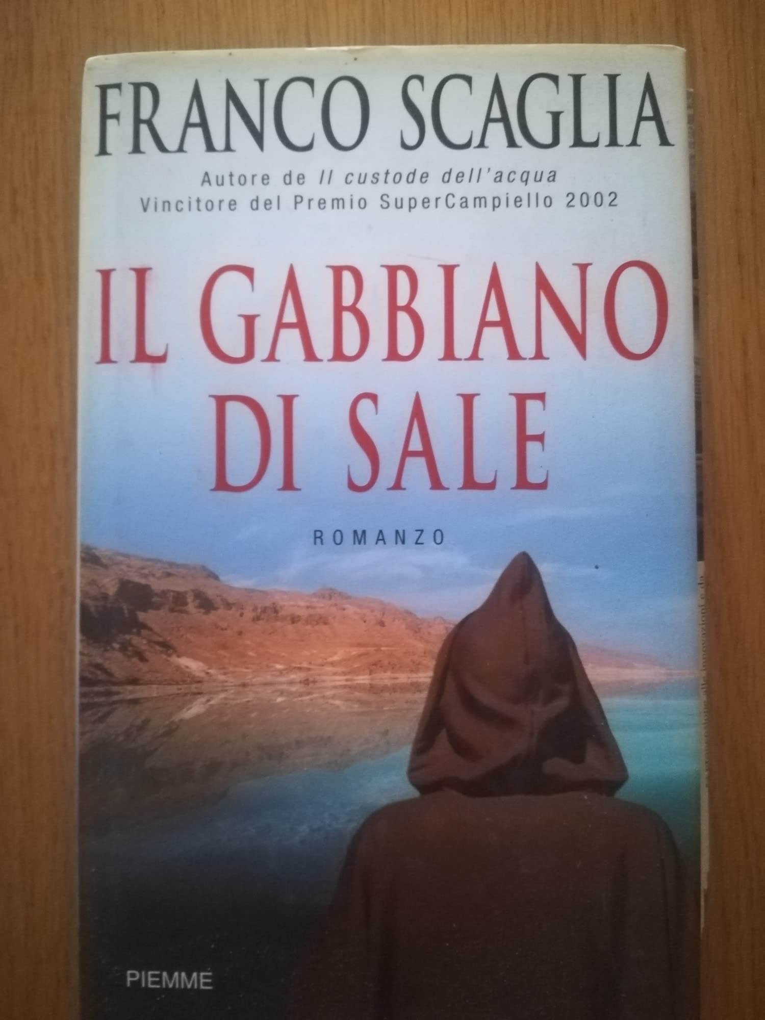 Il gabbiano di sale book