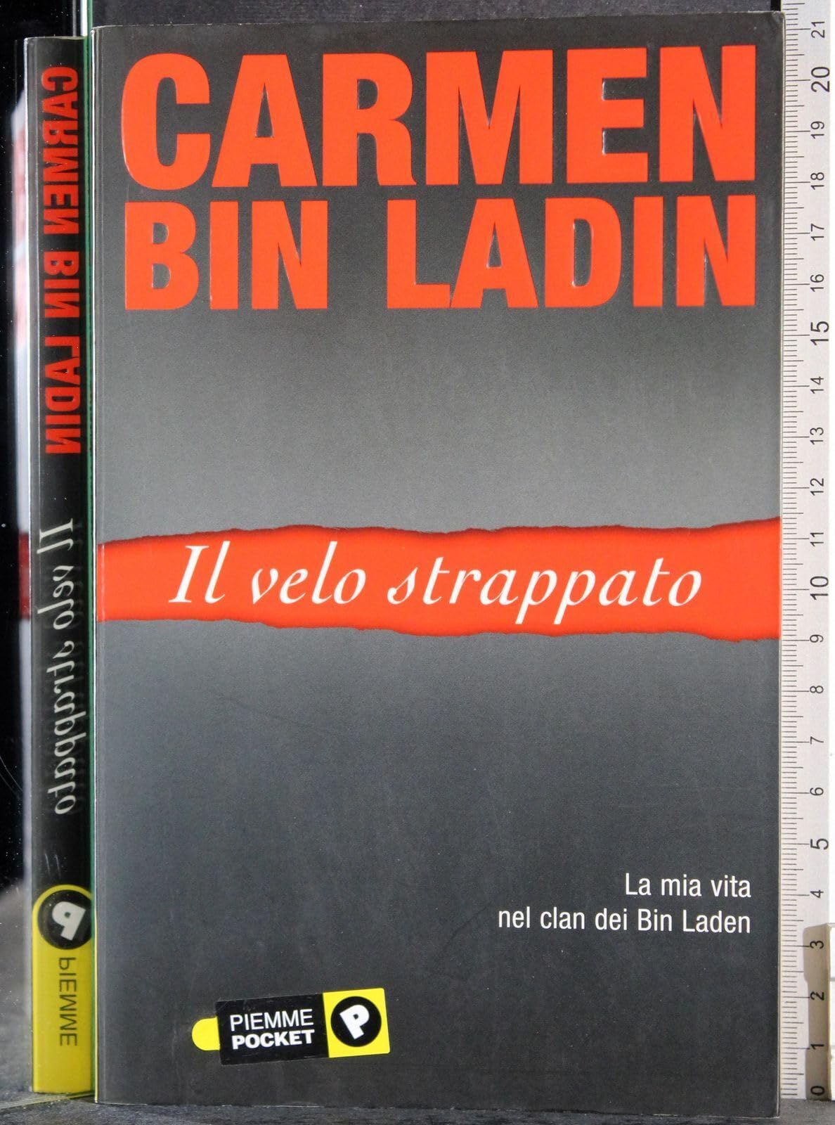Il velo strappato. La mia vita nei clan dei Bin Laden book