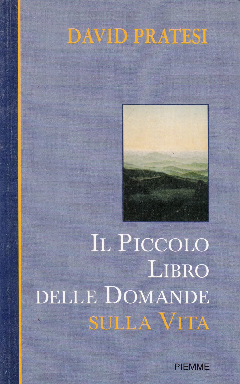 Il piccolo libro delle domande sulla vita book