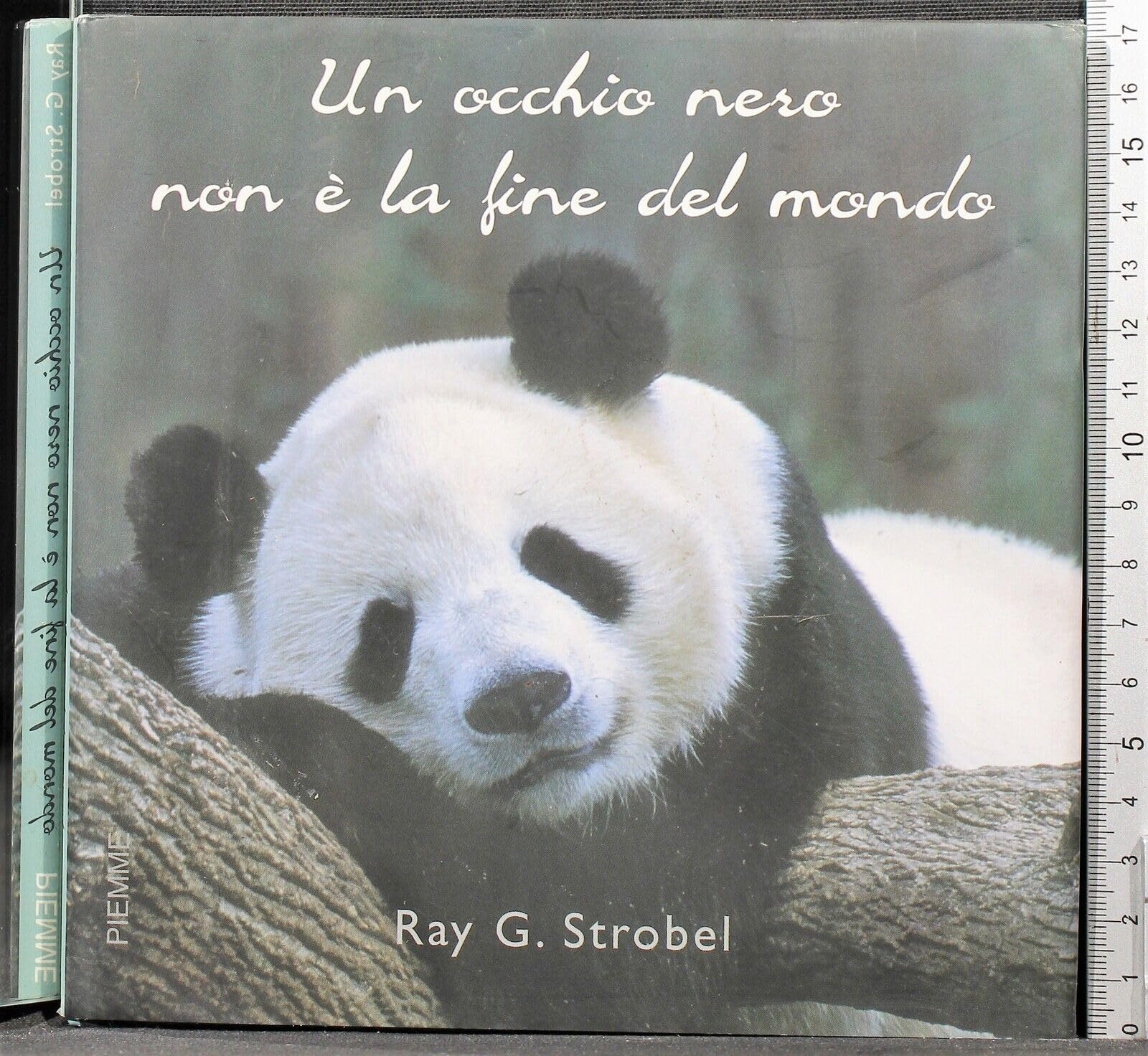 Un occhio nero non è la fine del mondo. Ediz. illustrata Lifestyle