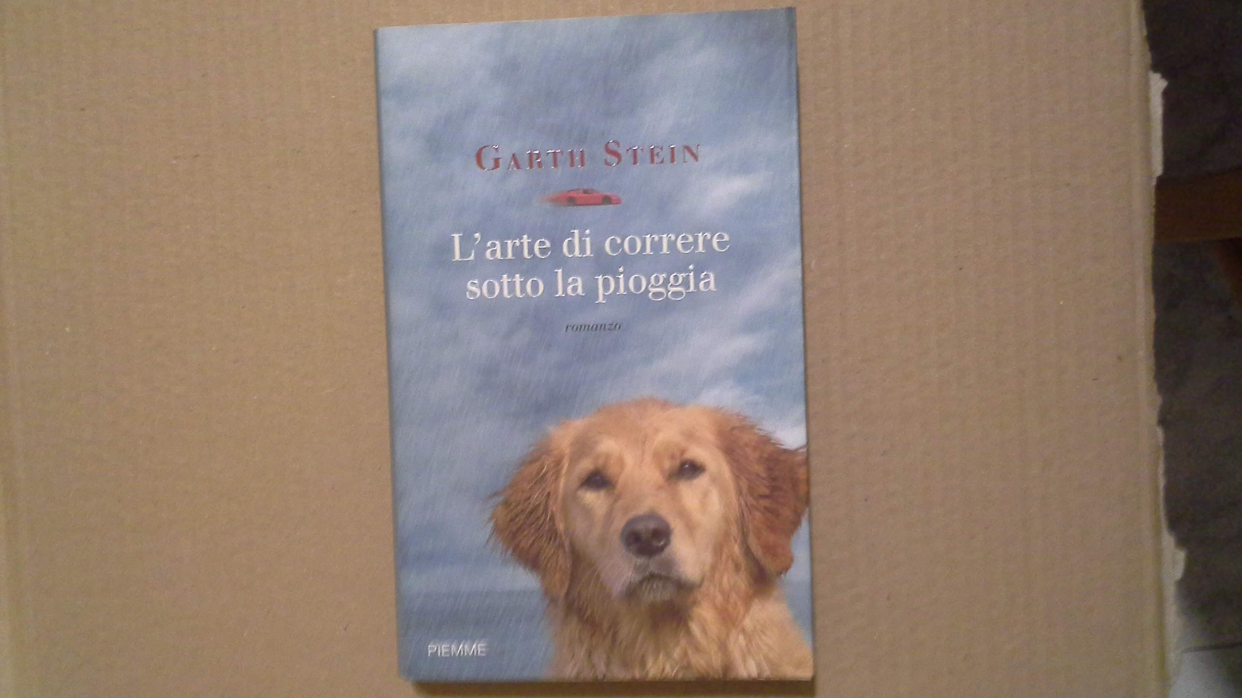L'arte di correre sotto la pioggia book