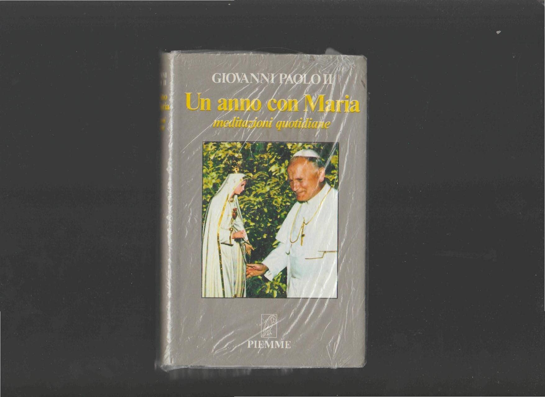 Un anno con Maria. Meditazioni quotidiane book