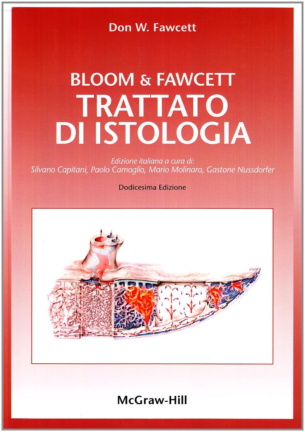 Bloom & Fawcett. Istologia book