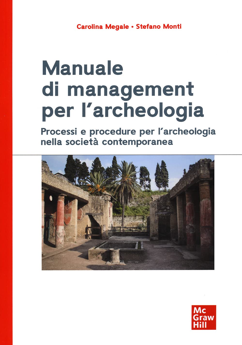Manuale di management per l'archeologia. Processi e procedure per l'archeologia nella società contemporanea (Economia e discipline aziendali) Business, Finance & Career