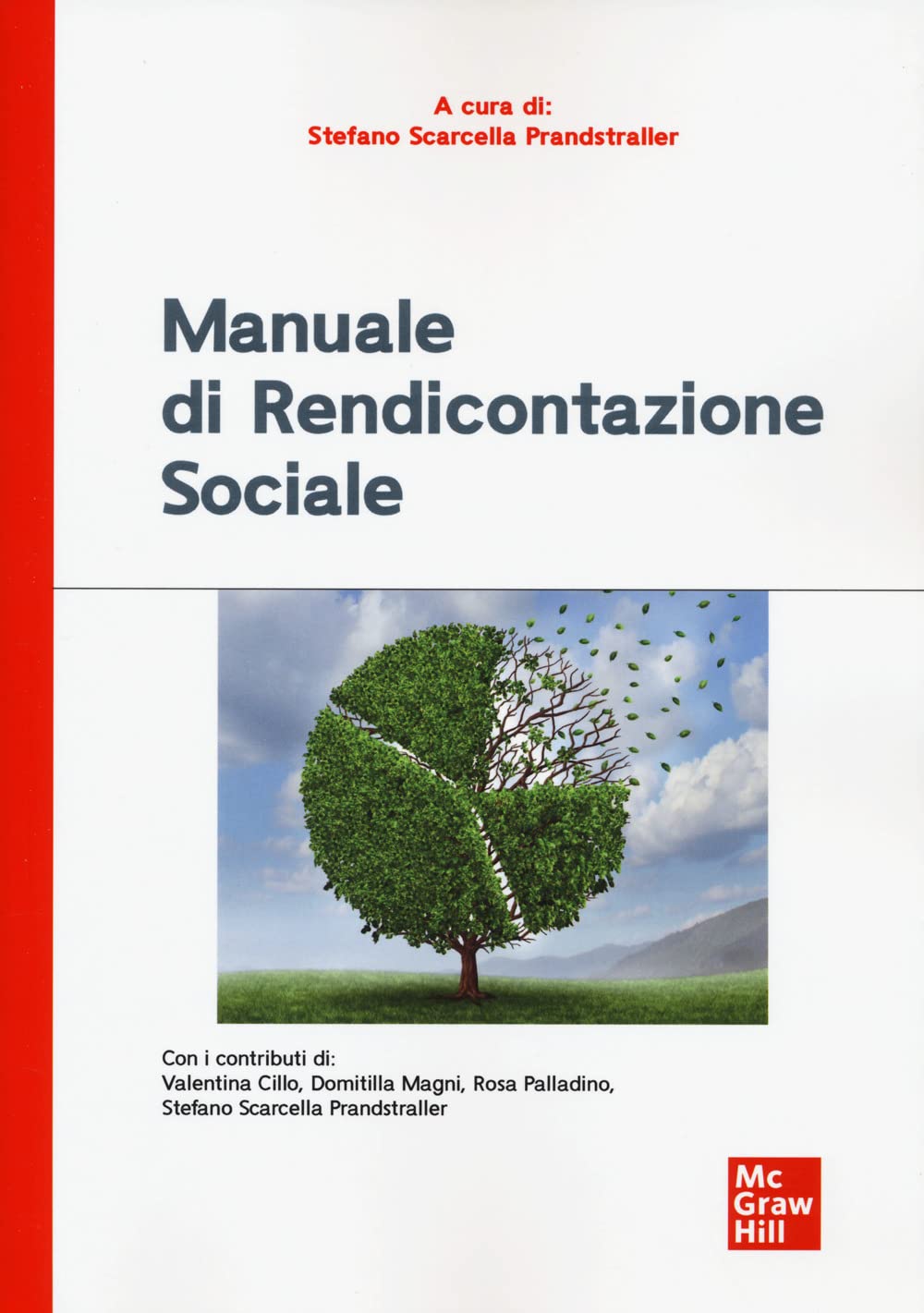 Manuale di rendicontazione sociale book