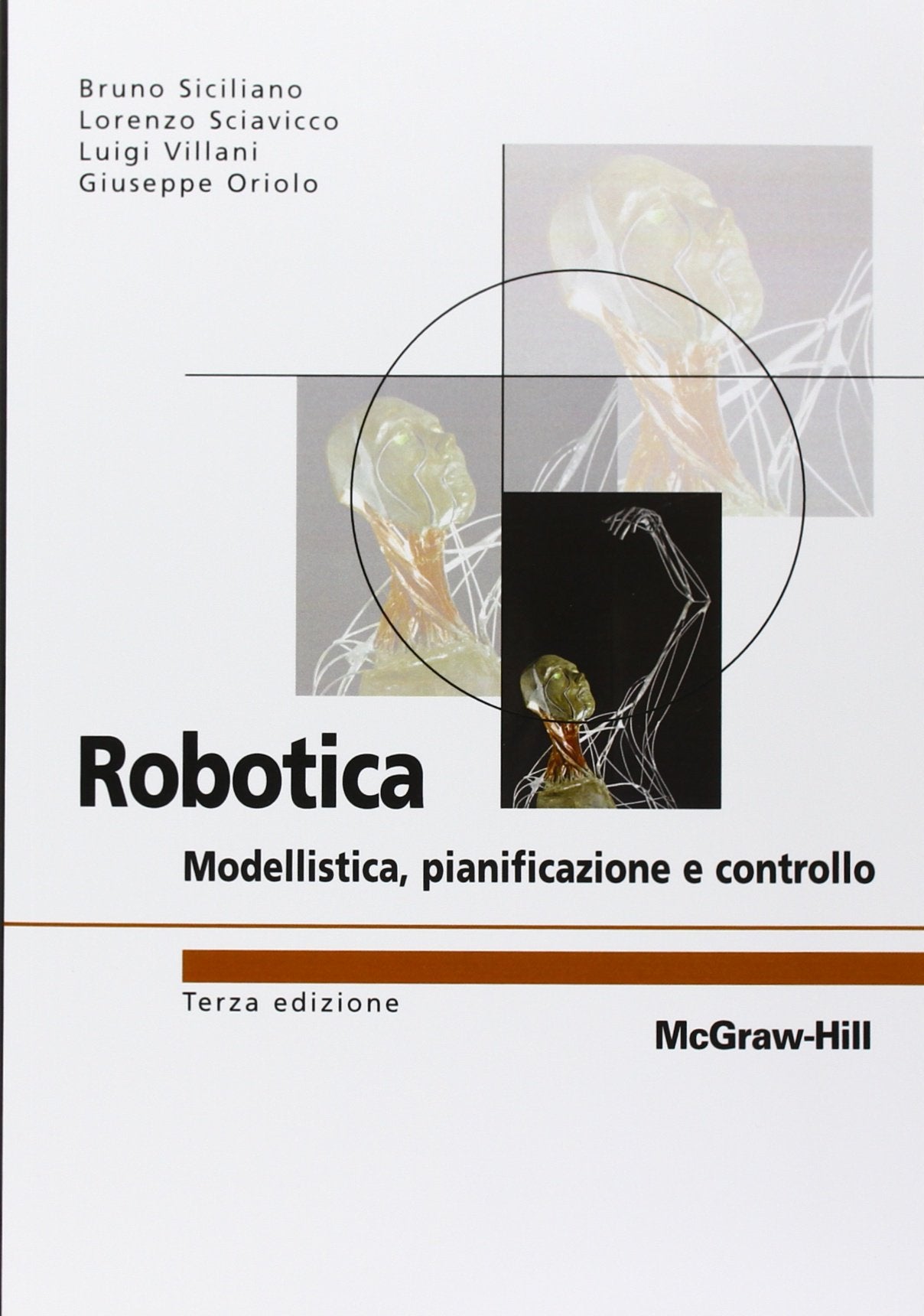 Robotica. Modellistica, pianificazione e controllo (College) Business & Technology