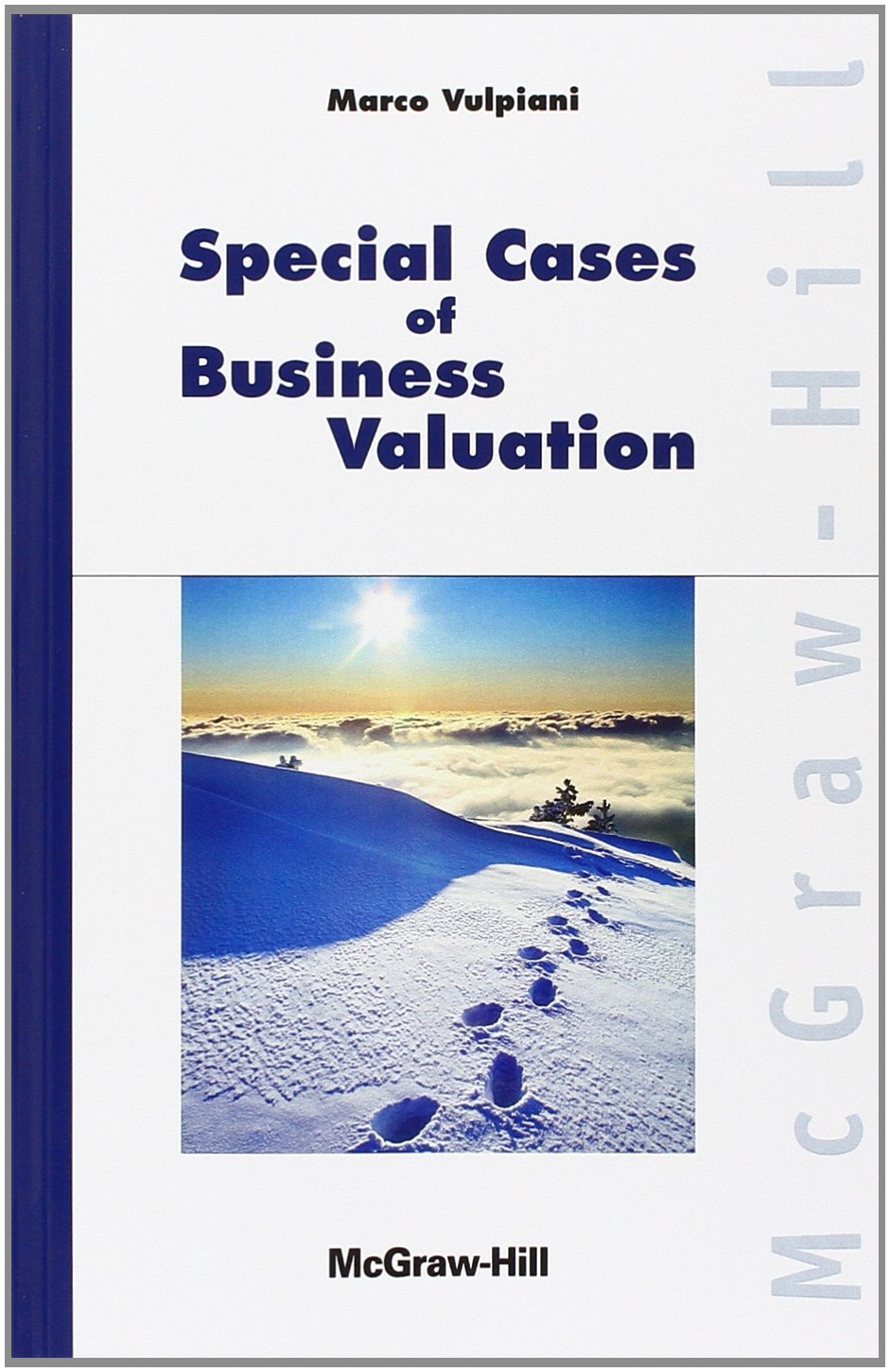 Special cases of business valuation book
