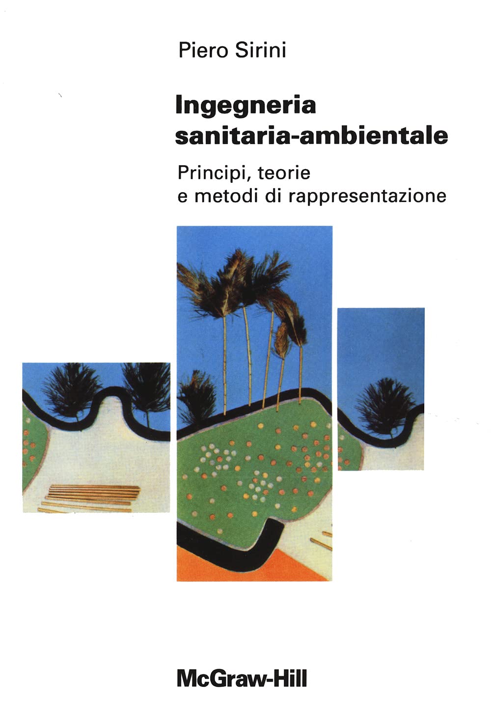 Ingegneria sanitaria ambientale. Principi, teorie e metodi di rappresentazione book