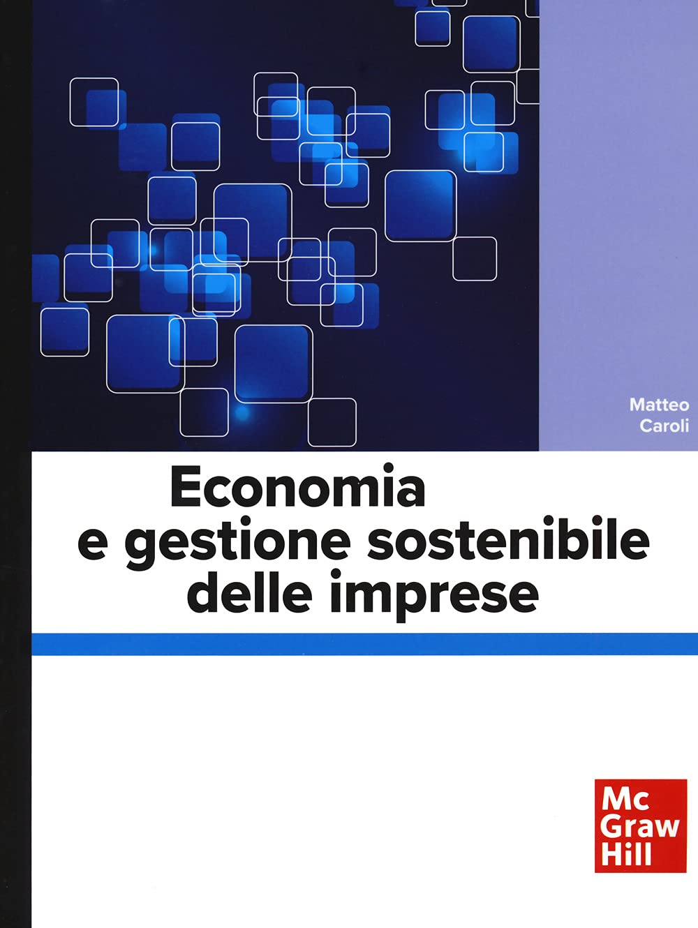 Economia e gestione sostenibile delle imprese book
