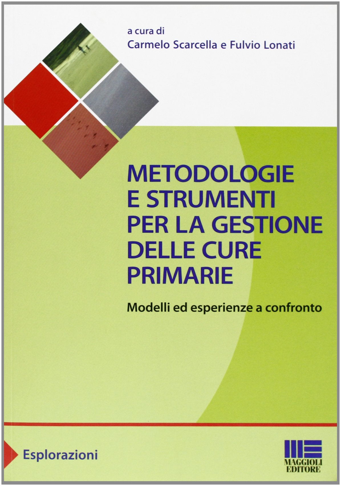 Metodologie e strumenti per la gestione delle cure primarie. Modelli ed esperienze a confronto book
