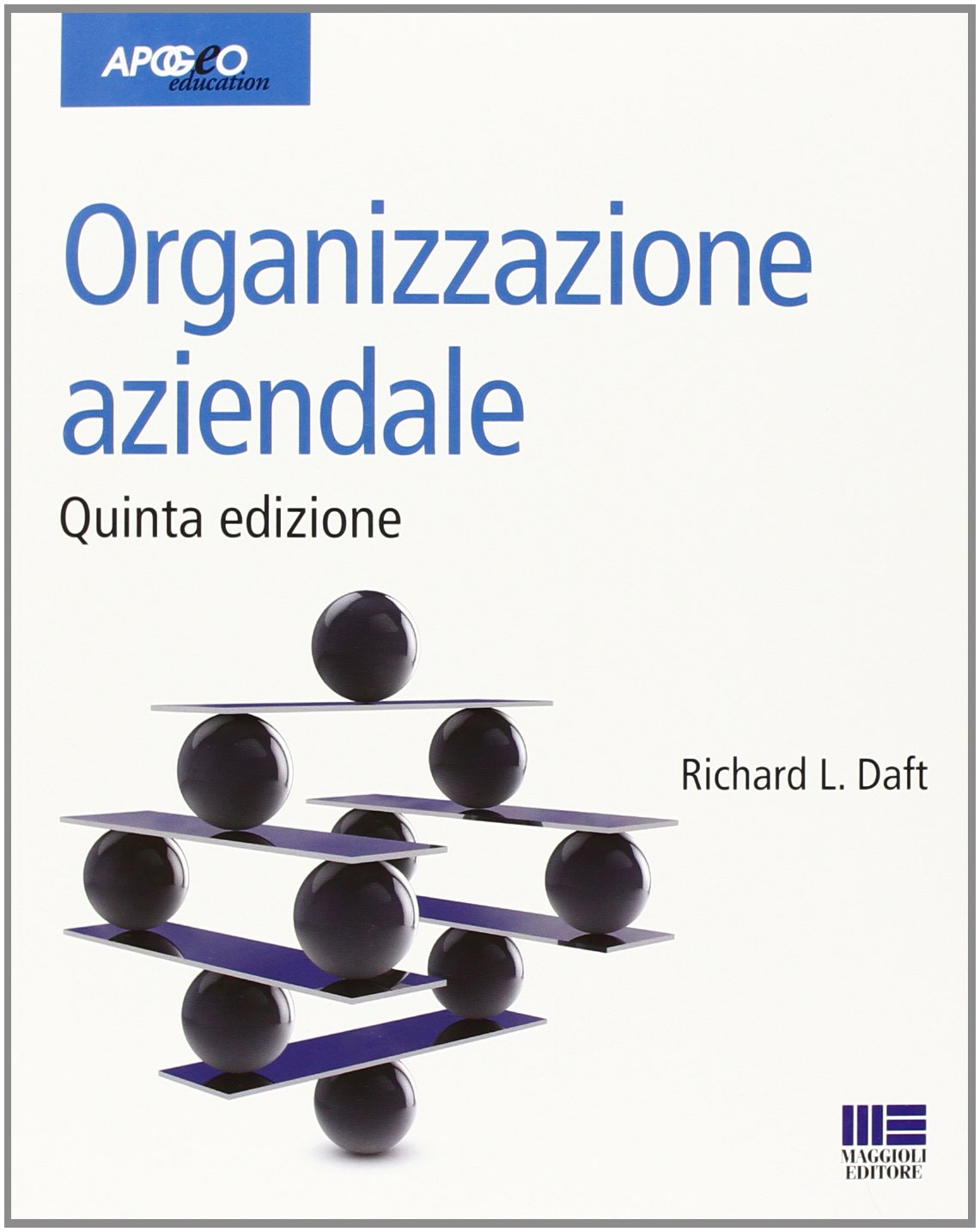 Organizzazione aziendale book