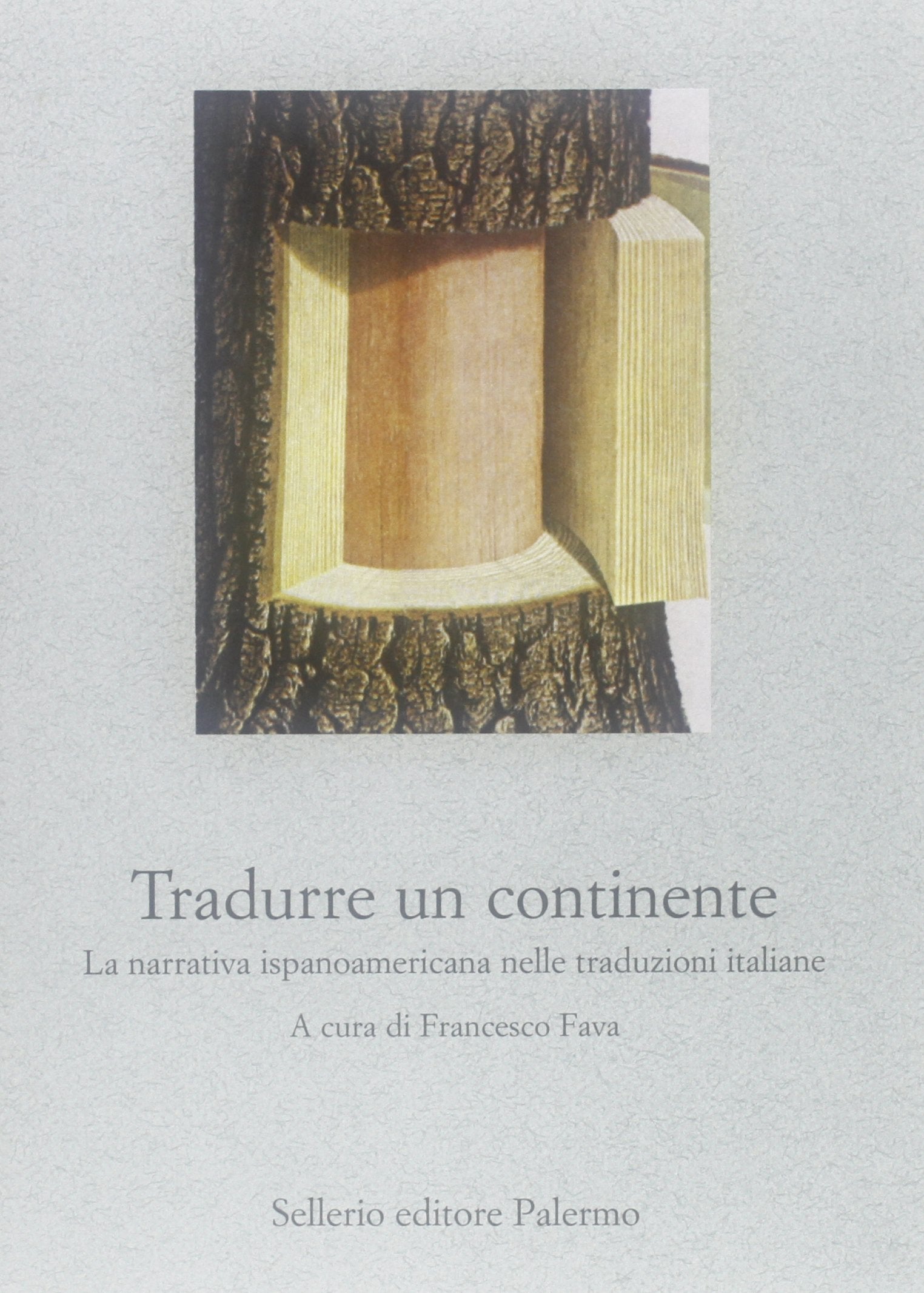 Tradurre un continente. La narrativa ispanoamericana nelle traduzioni italiane (Le parole e le cose) Contemporary literature Books