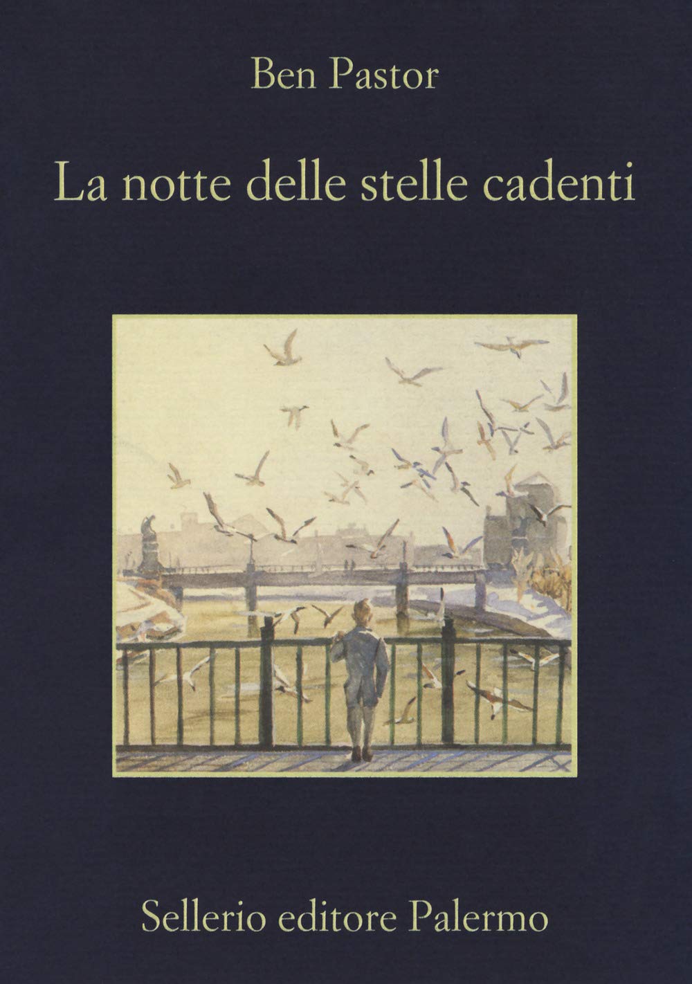 La notte delle stelle cadenti book