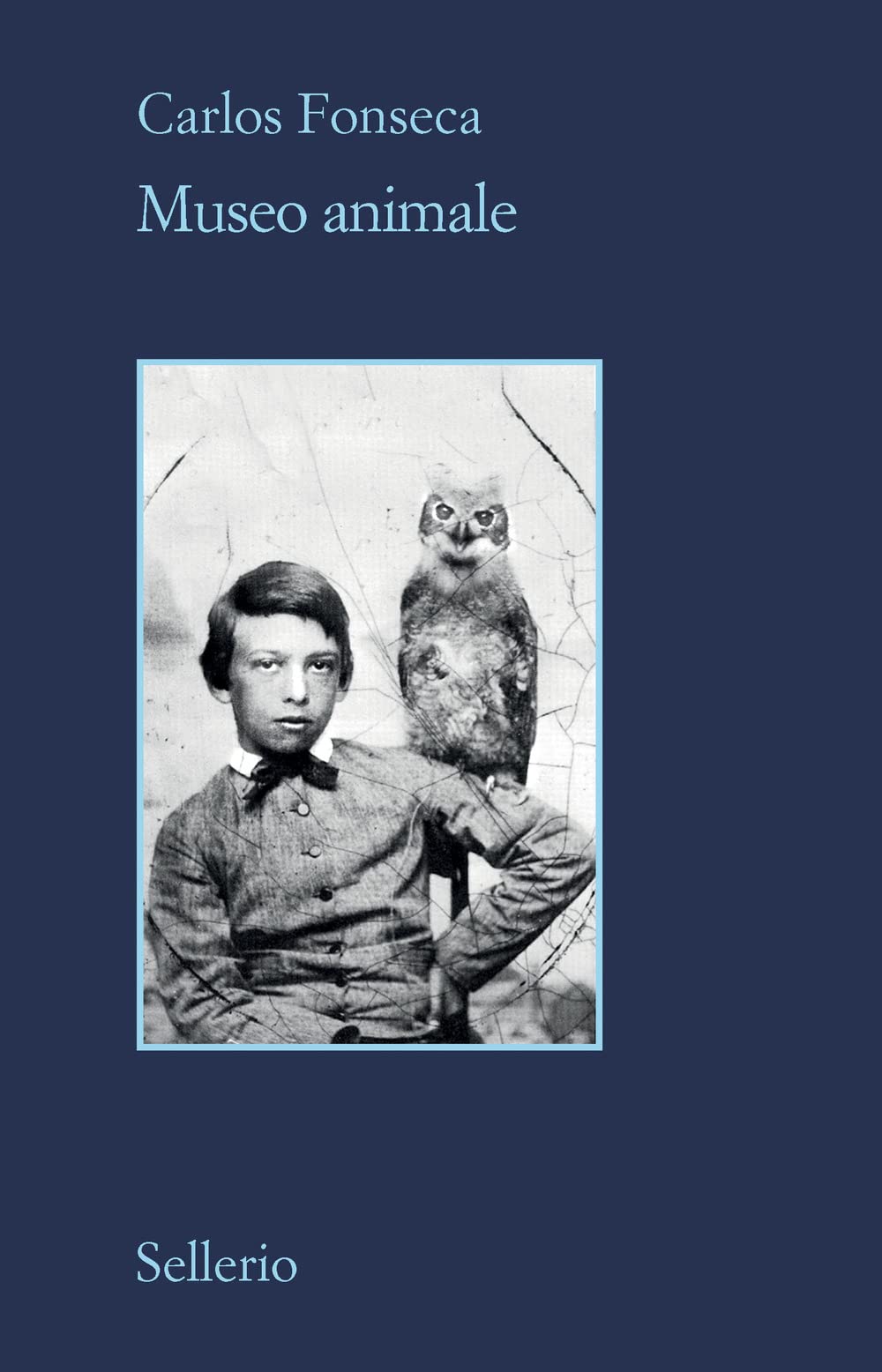 Museo animale Contemporary literature Books
