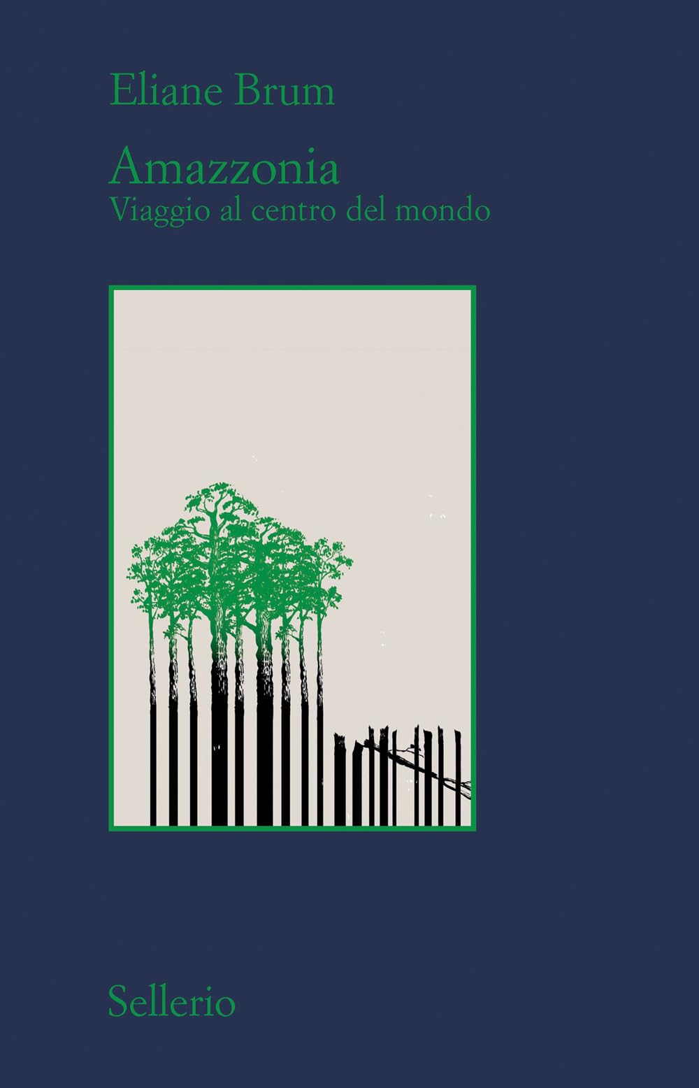 Amazzonia. Viaggio al centro del mondo (Il contesto) Essays & Short Stories