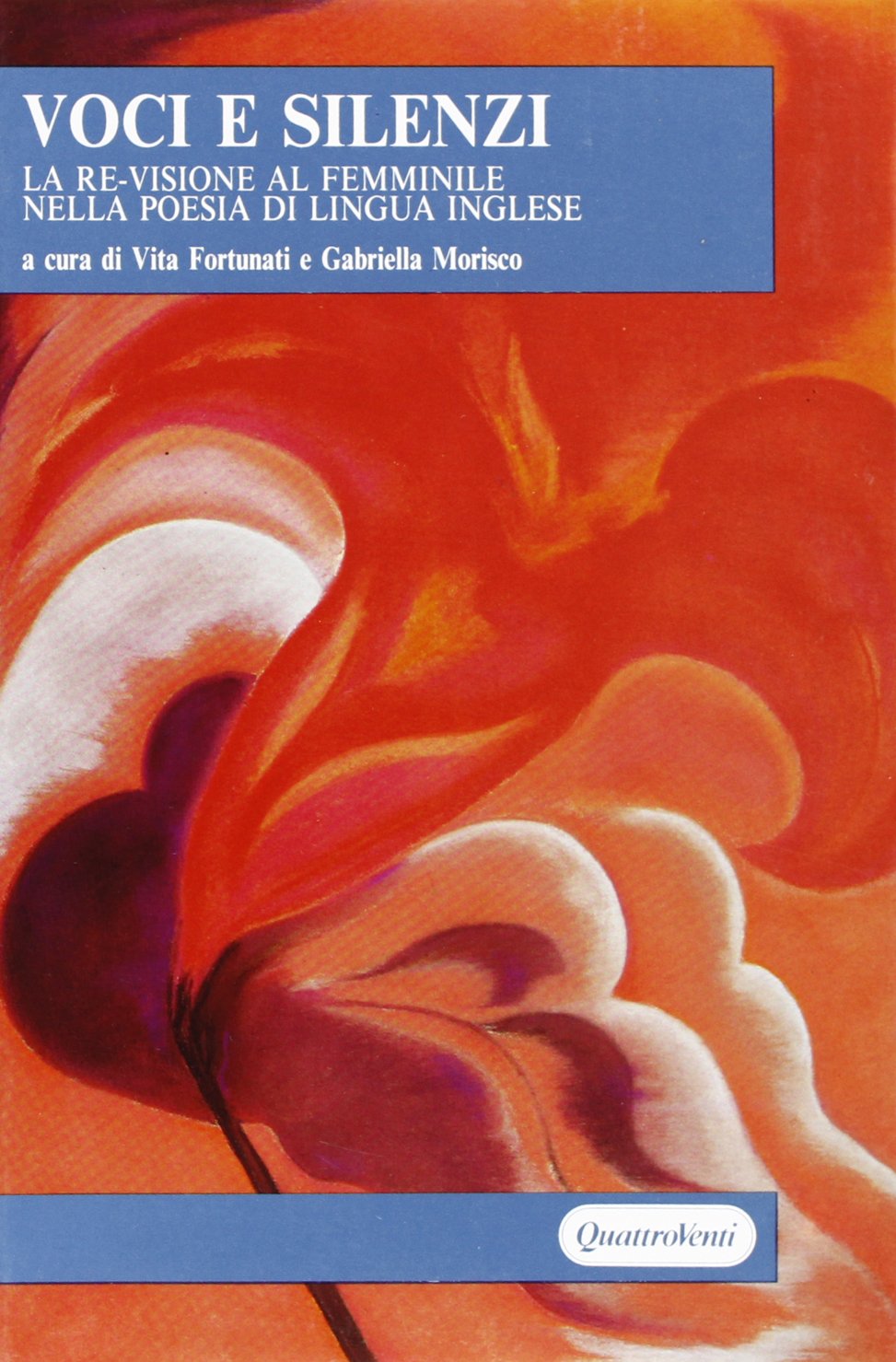 Voci e silenzi. La re-visione al femminile nella poesia di lingua inglese book
