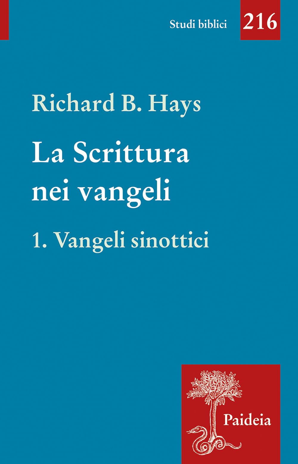 La scrittura nei Vangeli. Vangeli sinottici (Vol. 1) book