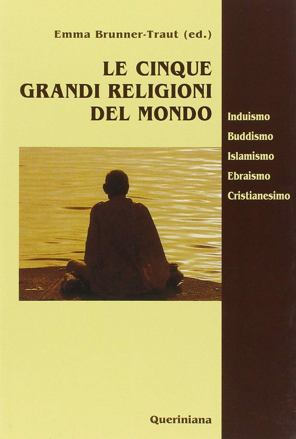 Le cinque grandi religioni del mondo. Induismo, buddismo, islamismo, ebraismo, cristianesimo book