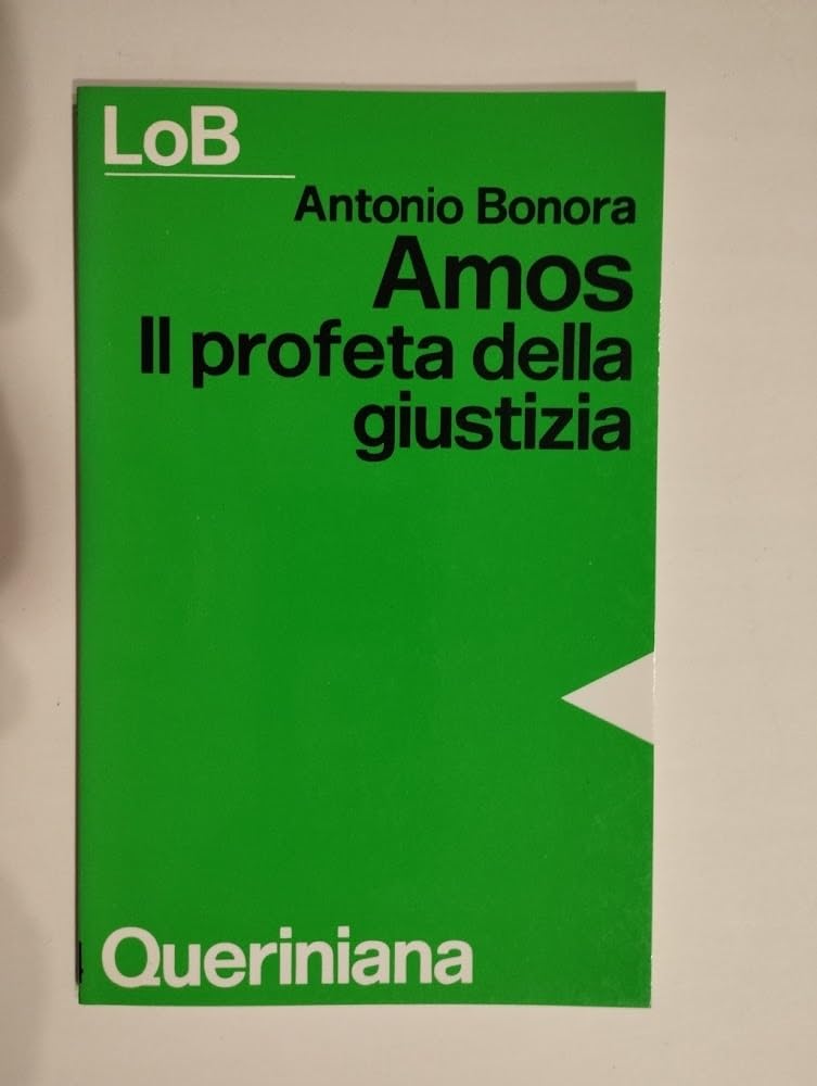 Amos. Il profeta della giustizia (LoB. Leggere oggi la Bibbia. Sez. 1) Religion & Esotericism