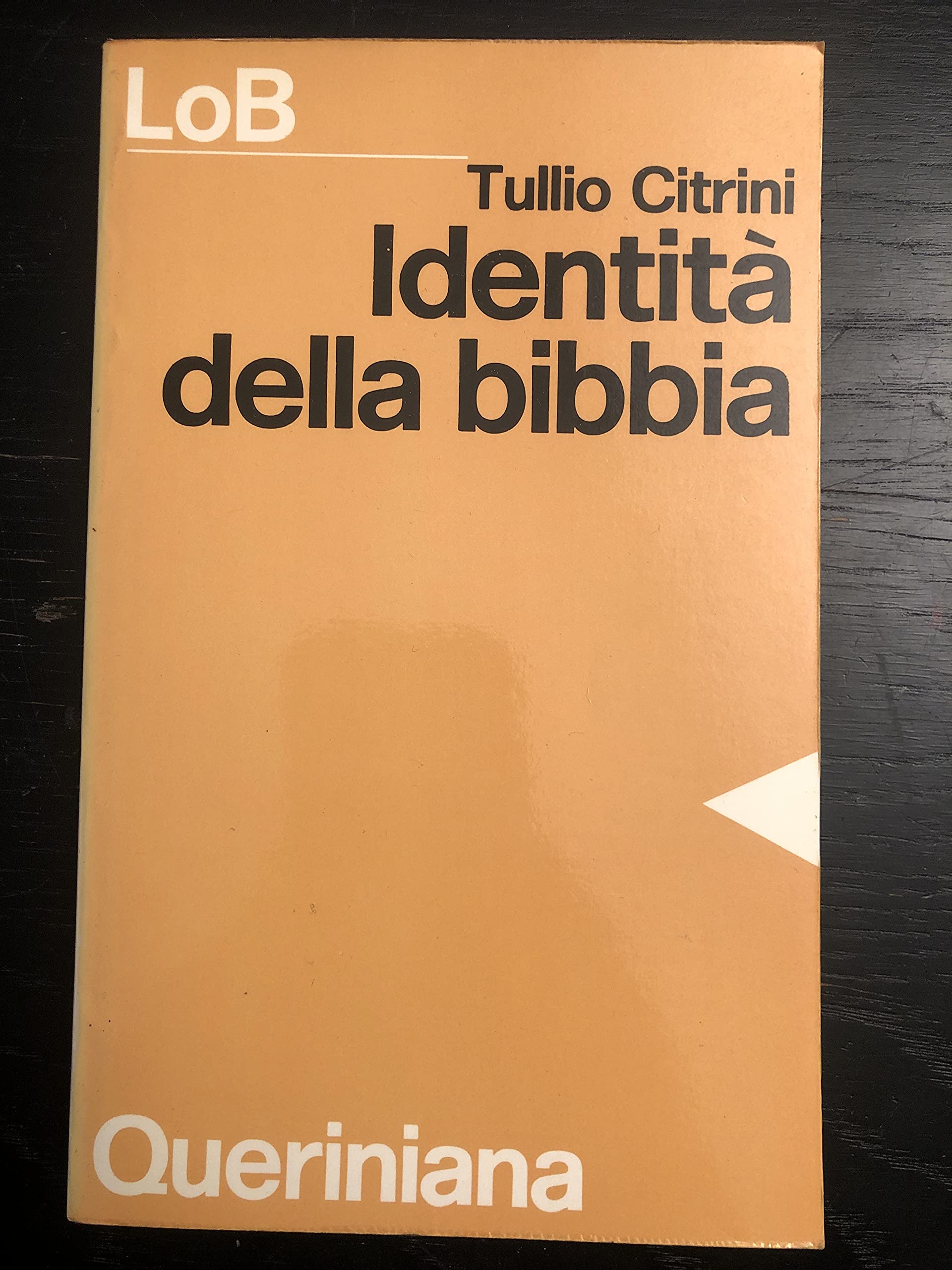 Identità della Bibbia. Canone, interpretazione, ispirazione delle Scritture sacre (LoB. Leggere oggi la Bibbia. Sez. 3) Religion & Esotericism