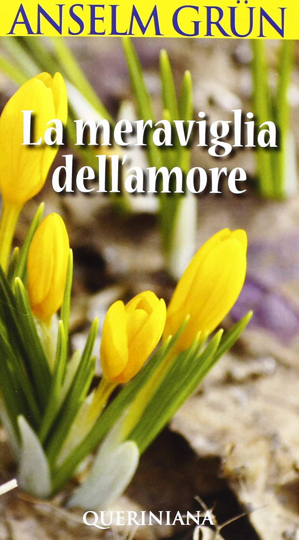 La meraviglia dell'amore (Meditazioni) Second hand books on Religion & Esotericism