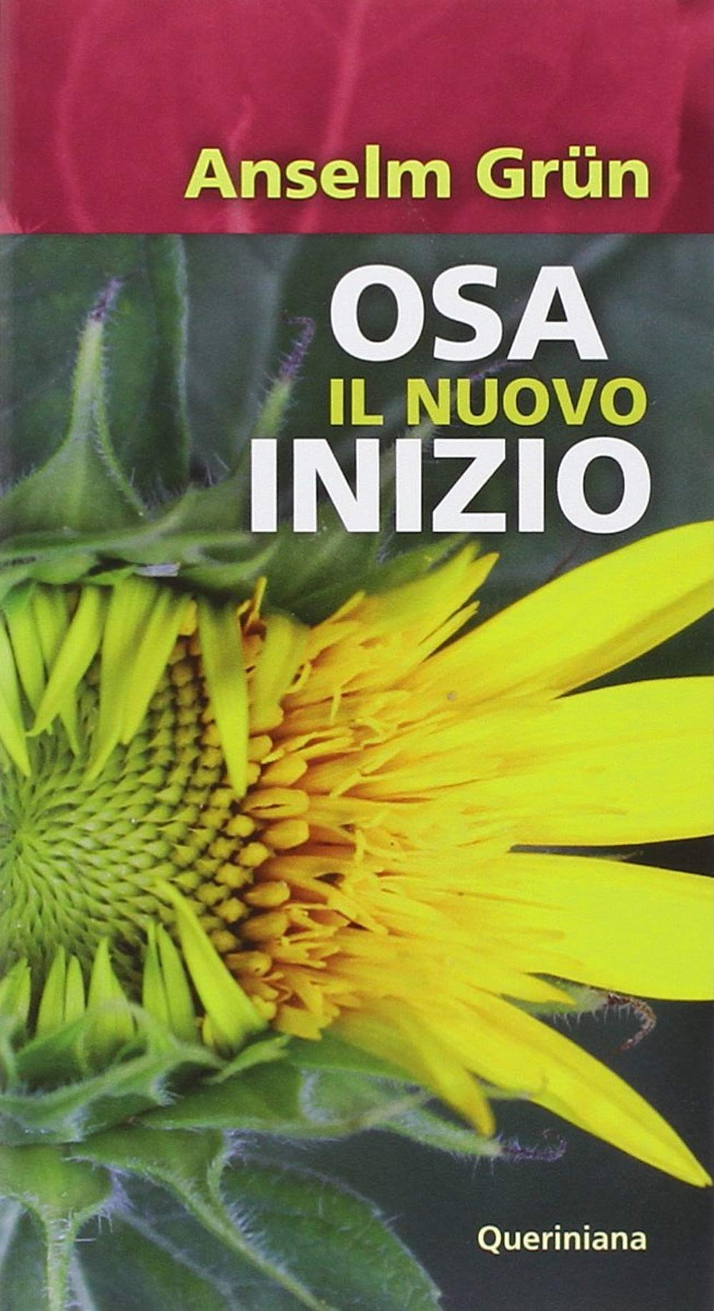 Osa il nuovo inizio book