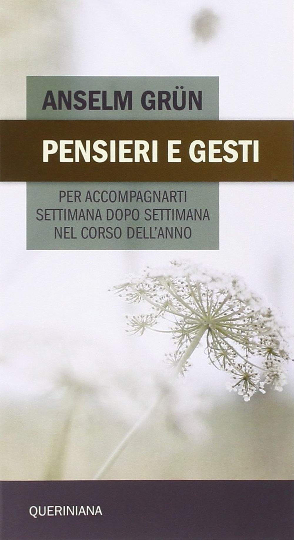Pensieri e gesti per accompagnarti settimana dopo settimana nel corso dell'anno book