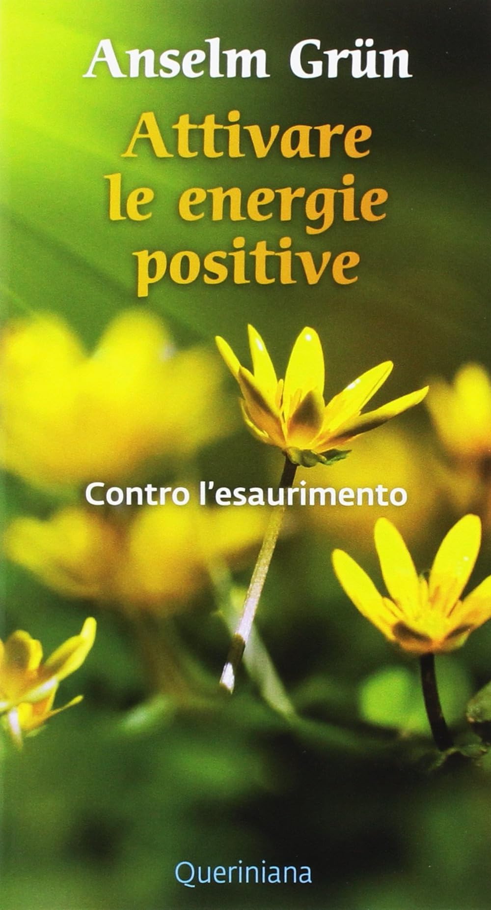 Attivare le energie positive. Contro l'esaurimento book