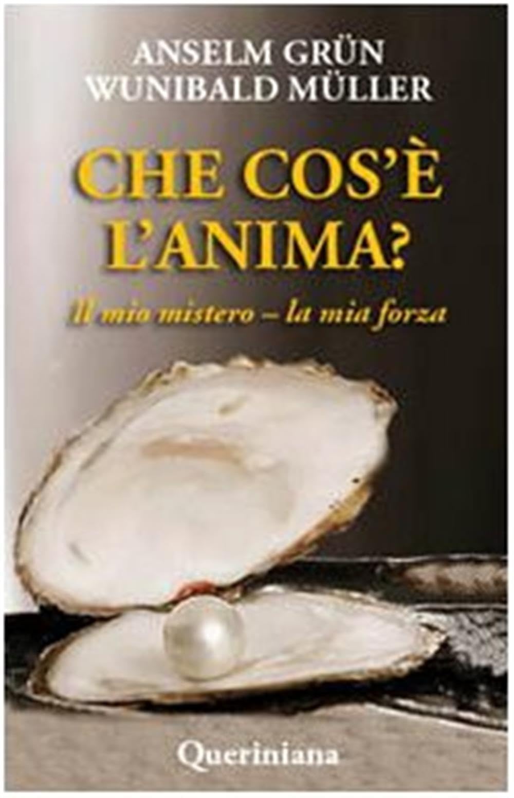 Che cos'è l'anima? Il mio mistero-la mia forza book