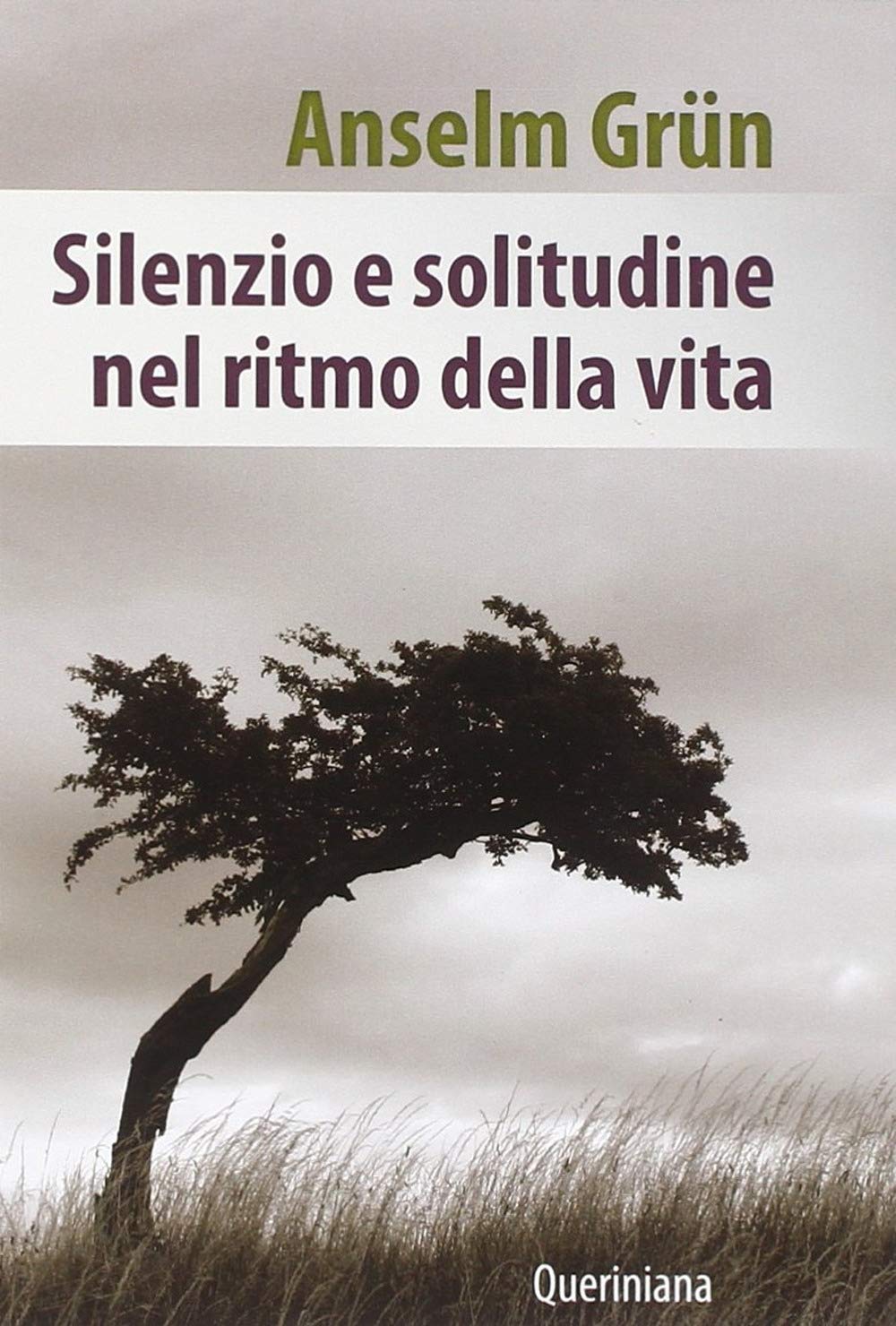 Silenzio e solitudine nel ritmo della vita book