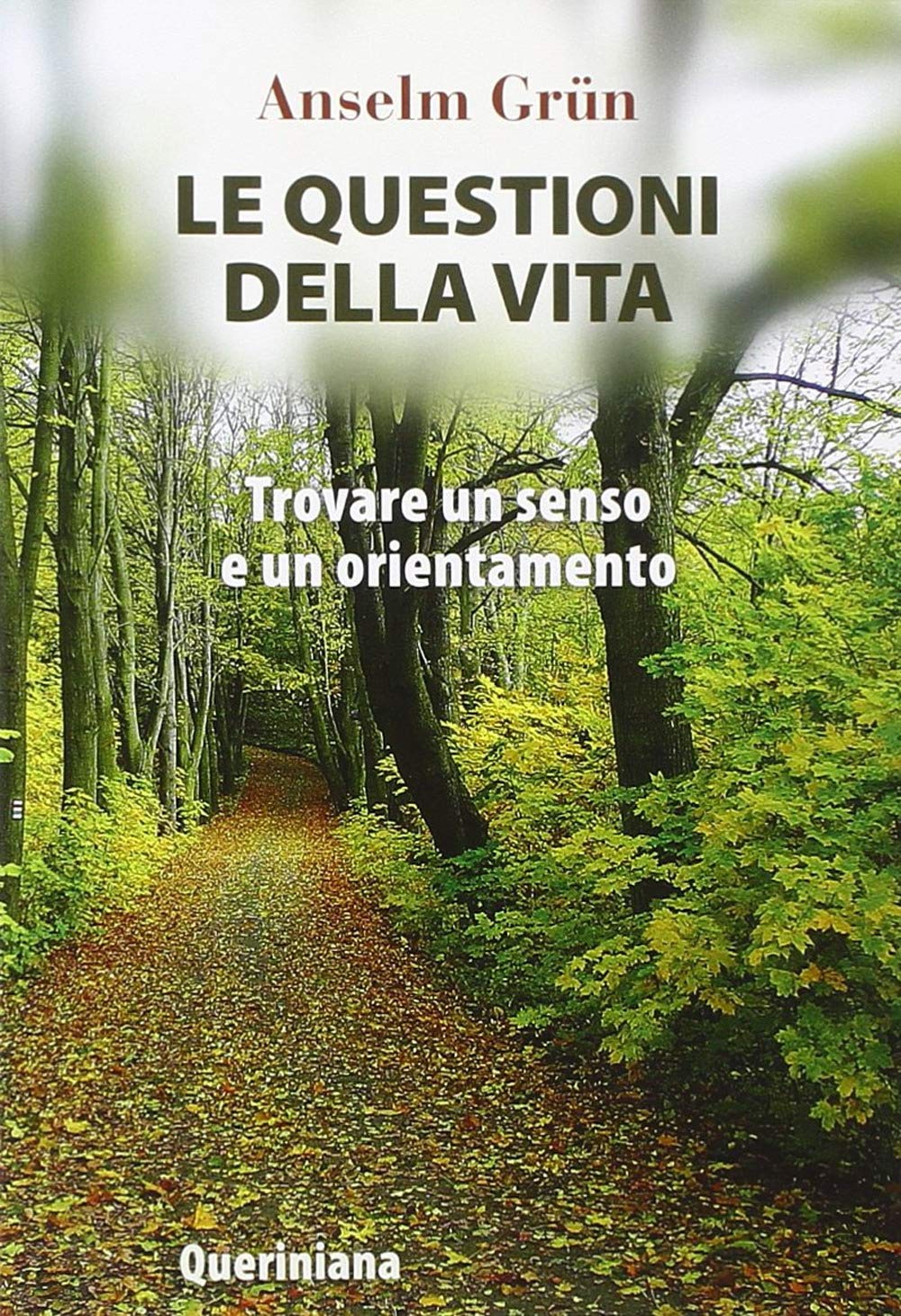 Le questioni della vita. Trovare un senso e un orientamento book