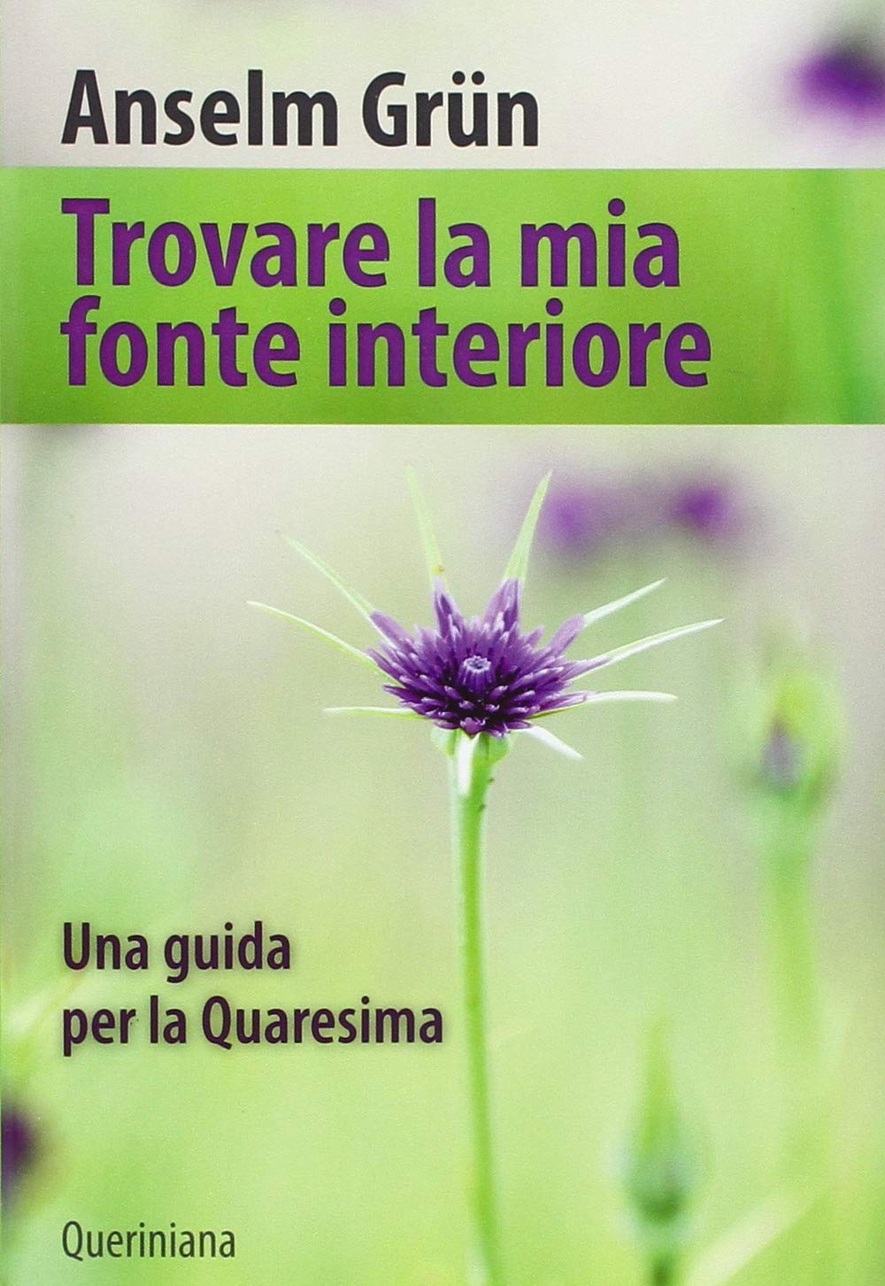 Trovare la mia fonte interiore book