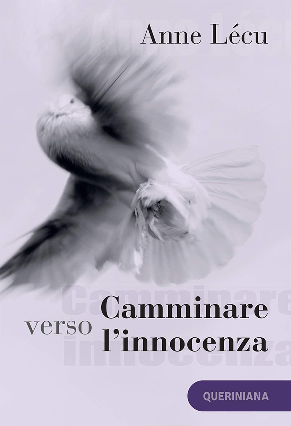 Camminare verso l’innocenza. Quaranta tappe attraverso il Vangelo di Giovanni. Nuova ediz. book
