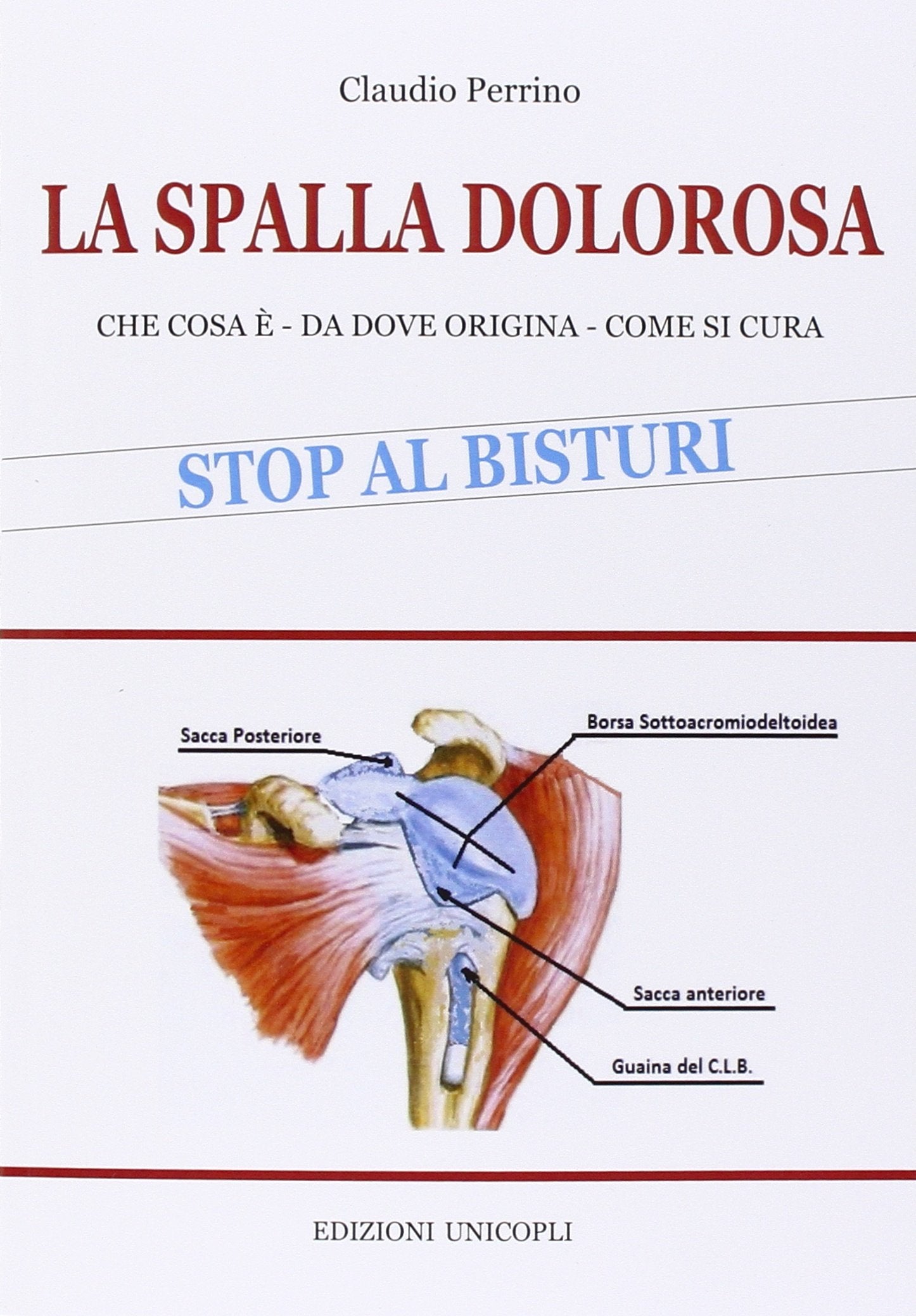 Spalla dolorosa. Che cosa è, da dove origina, come si cura book